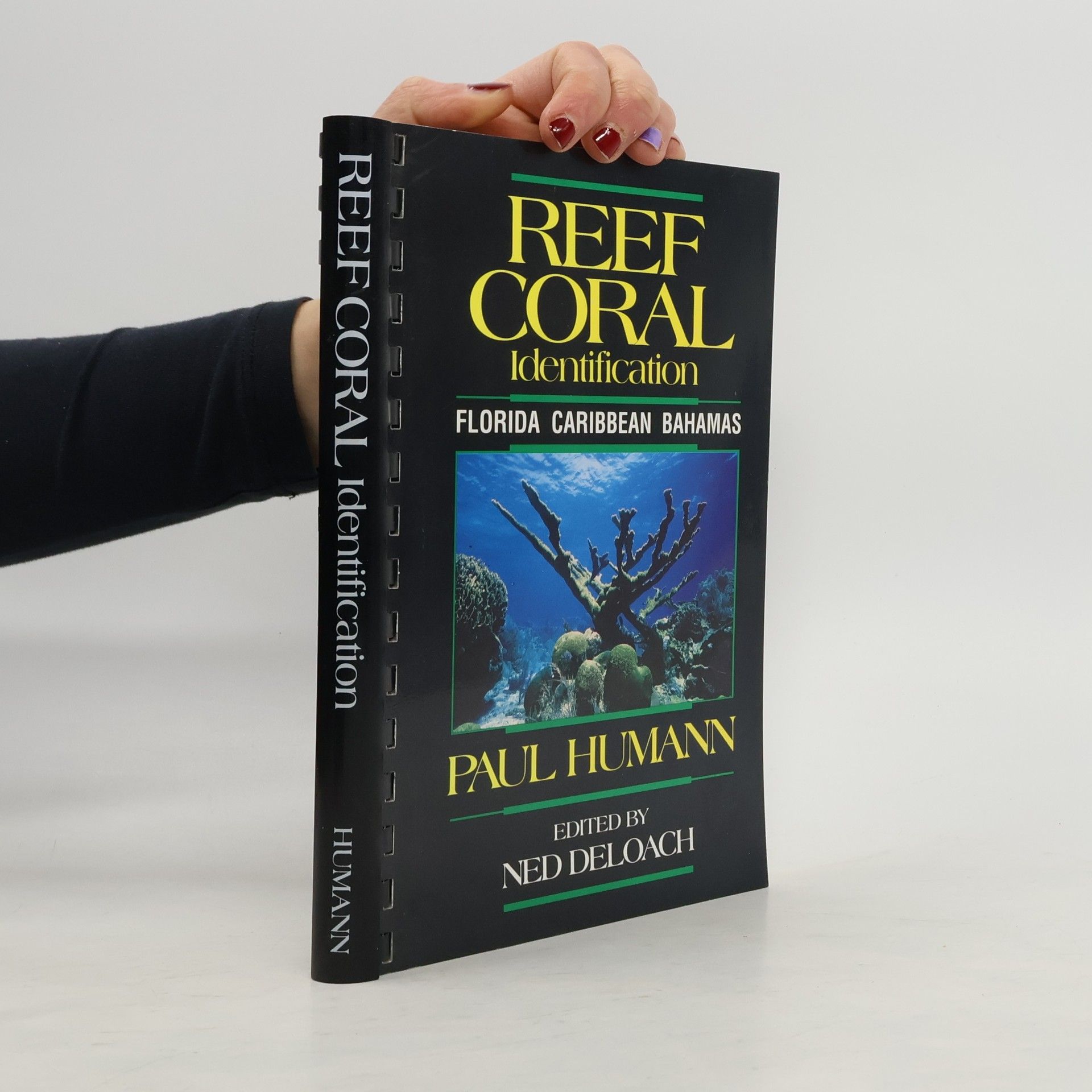 Reef Coral Identification