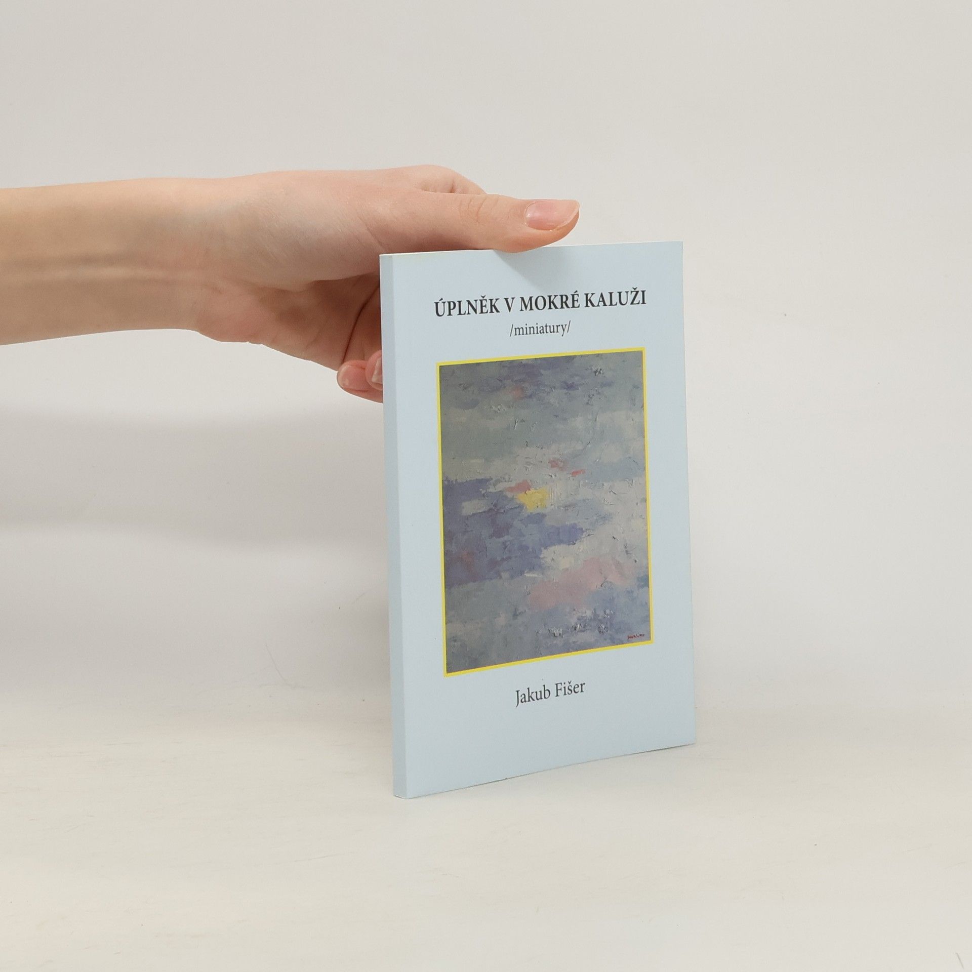 Úplněk v mokré kaluži