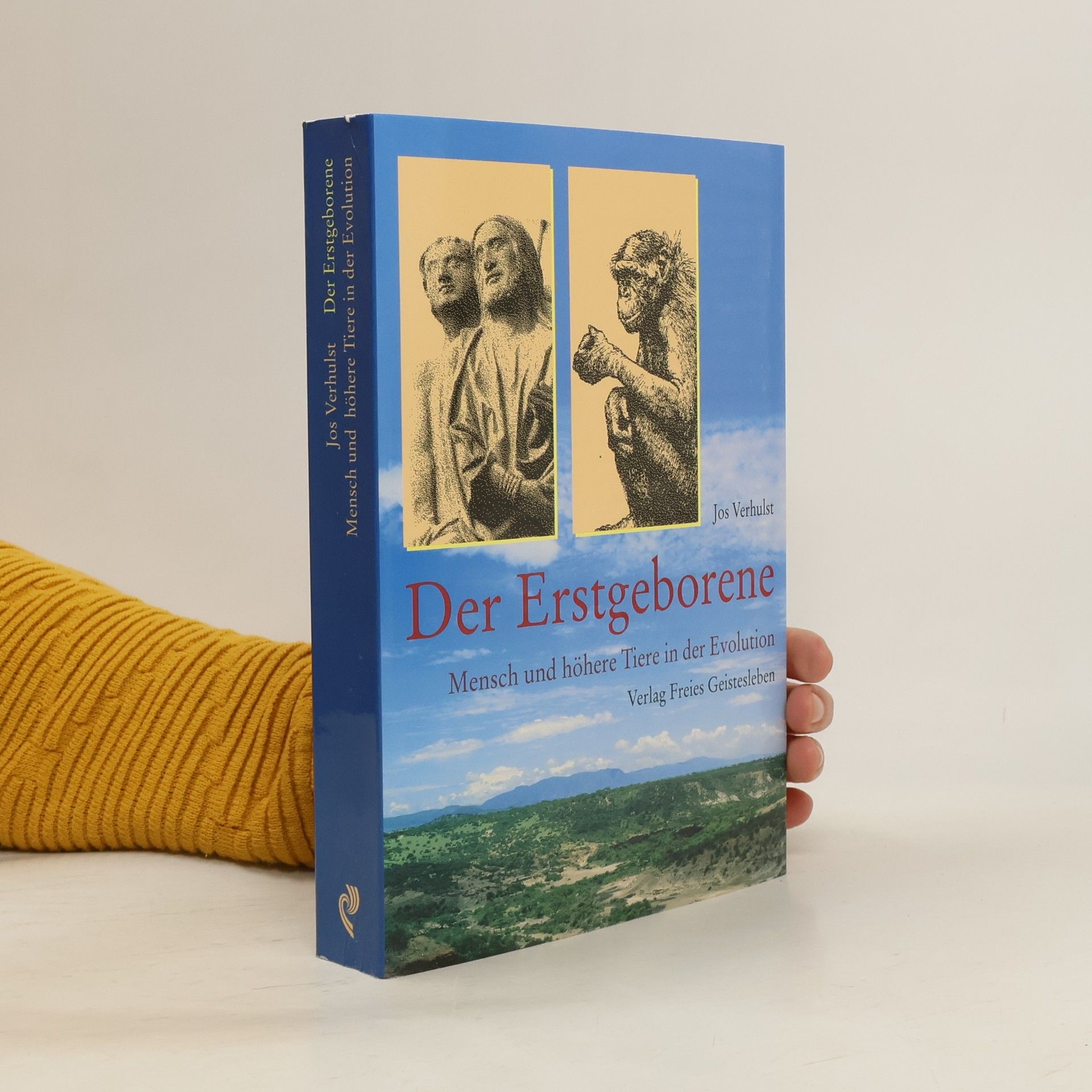 Jos Verhulst Der Erstgeborene