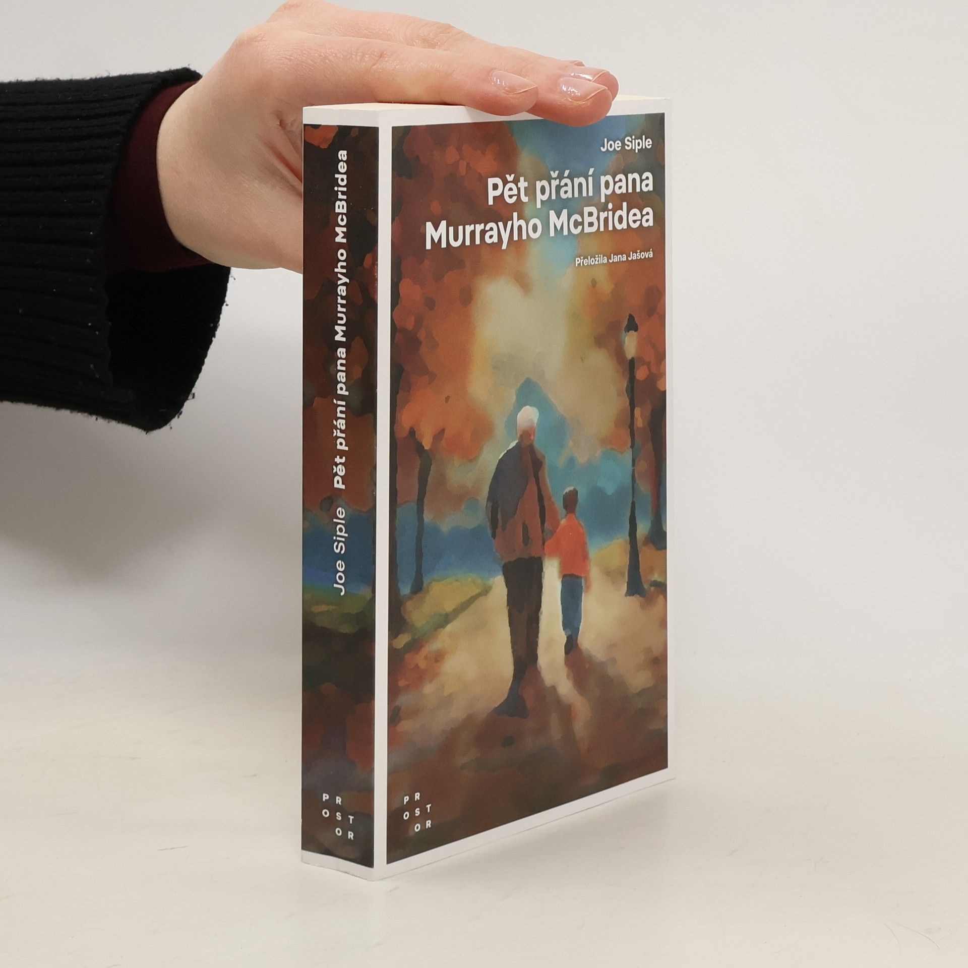 Joe Siple Pět přání pana Murrayho McBridea