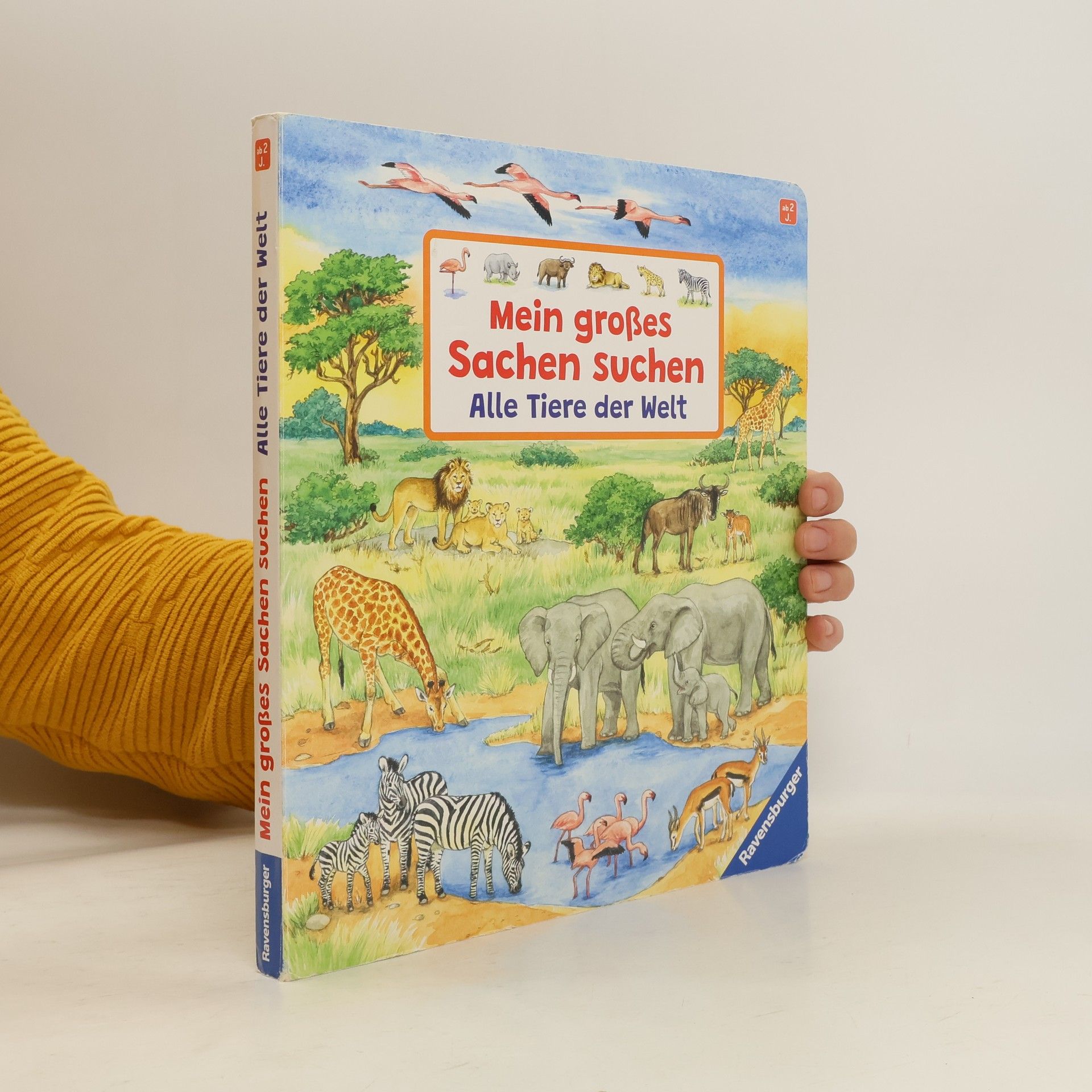 Mein großes Sachen suchen: Alle Tiere der Welt