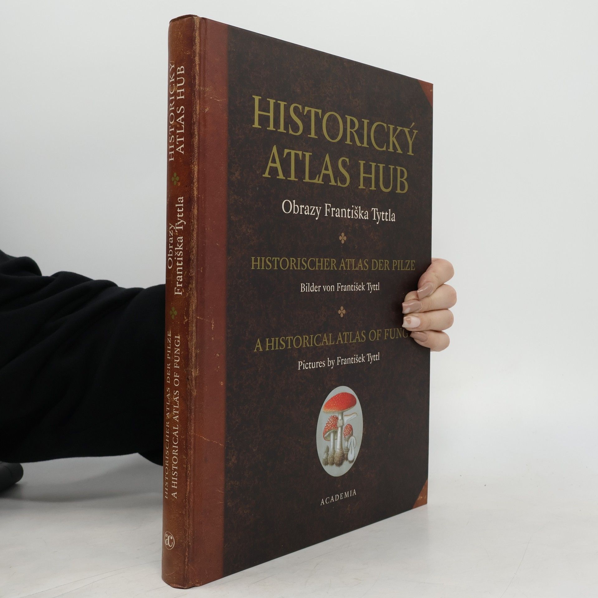 Jaroslava Nesvadbová Historický atlas hub - Obrazy Františka Tyttla