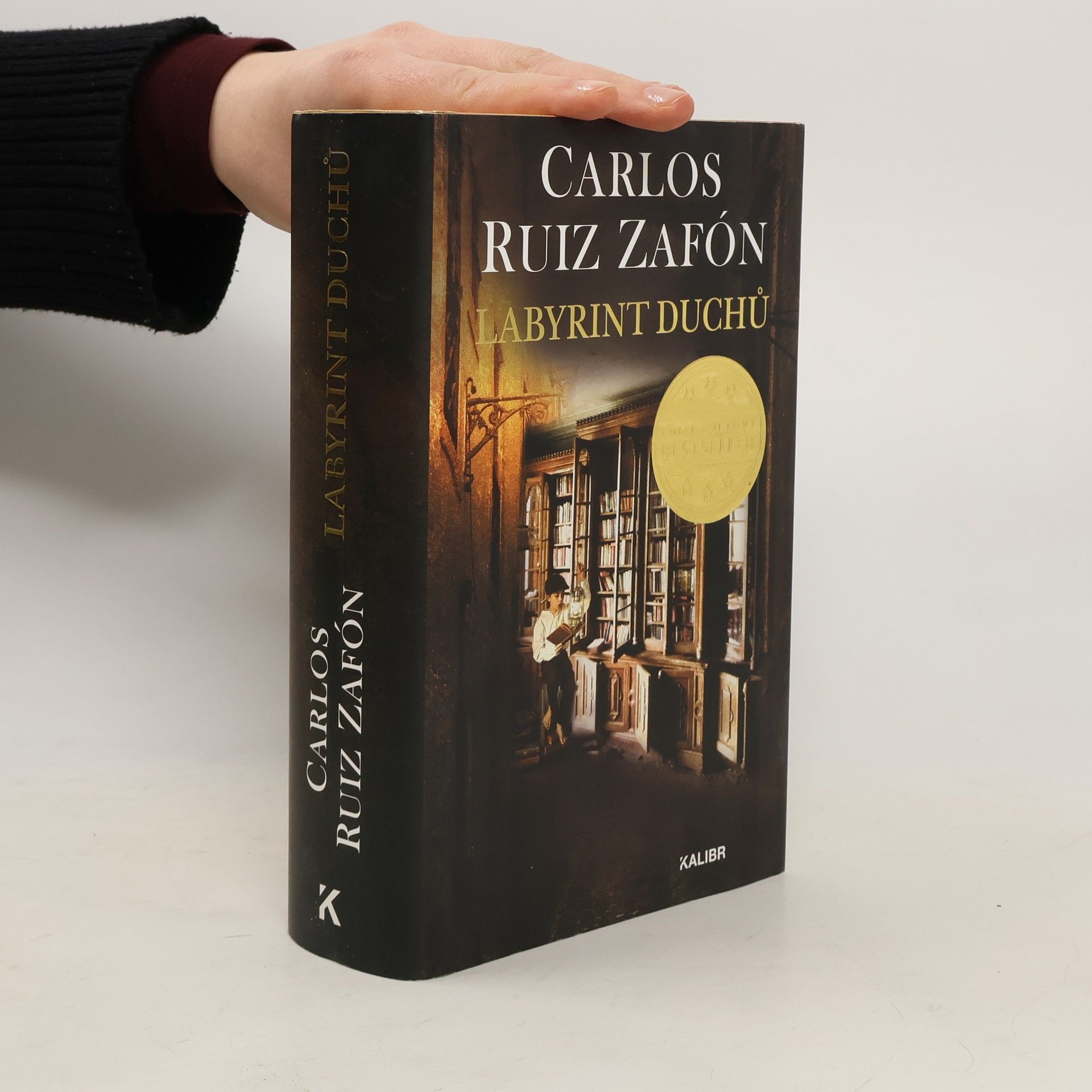 Carlos Ruiz Zafón Labyrint duchů