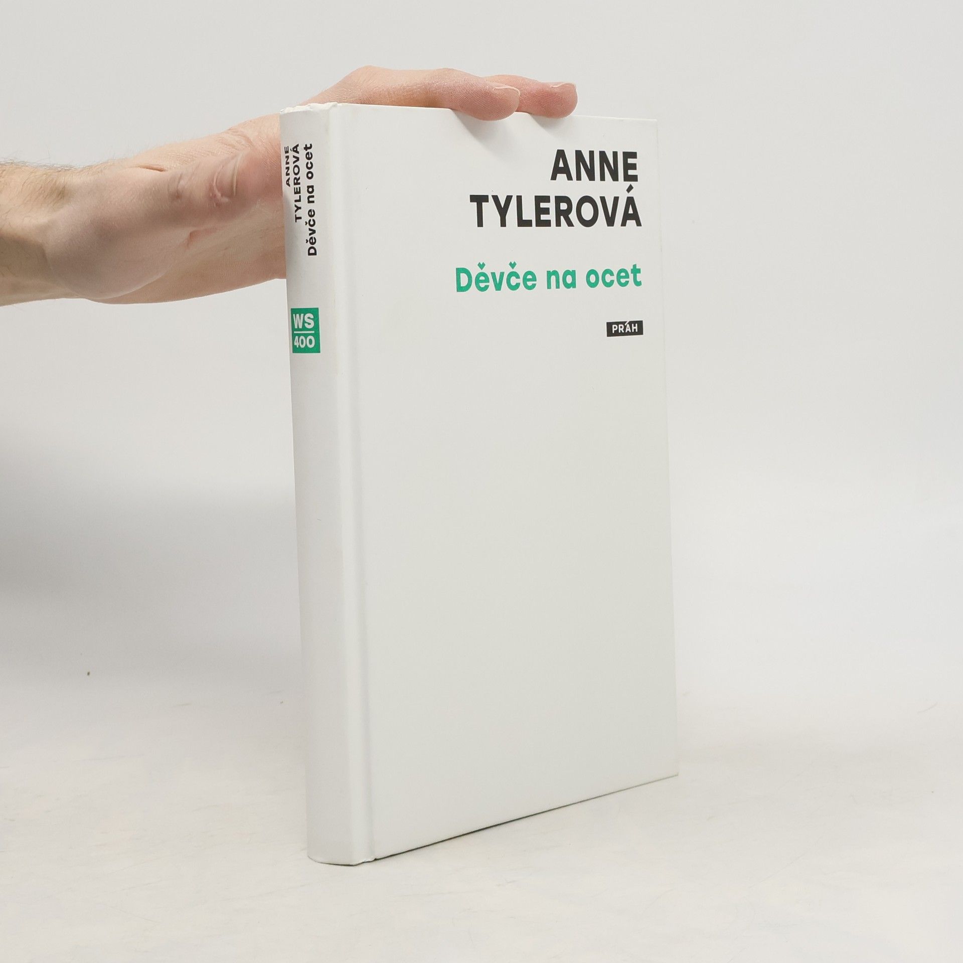 Anne Tyler Děvče na ocet