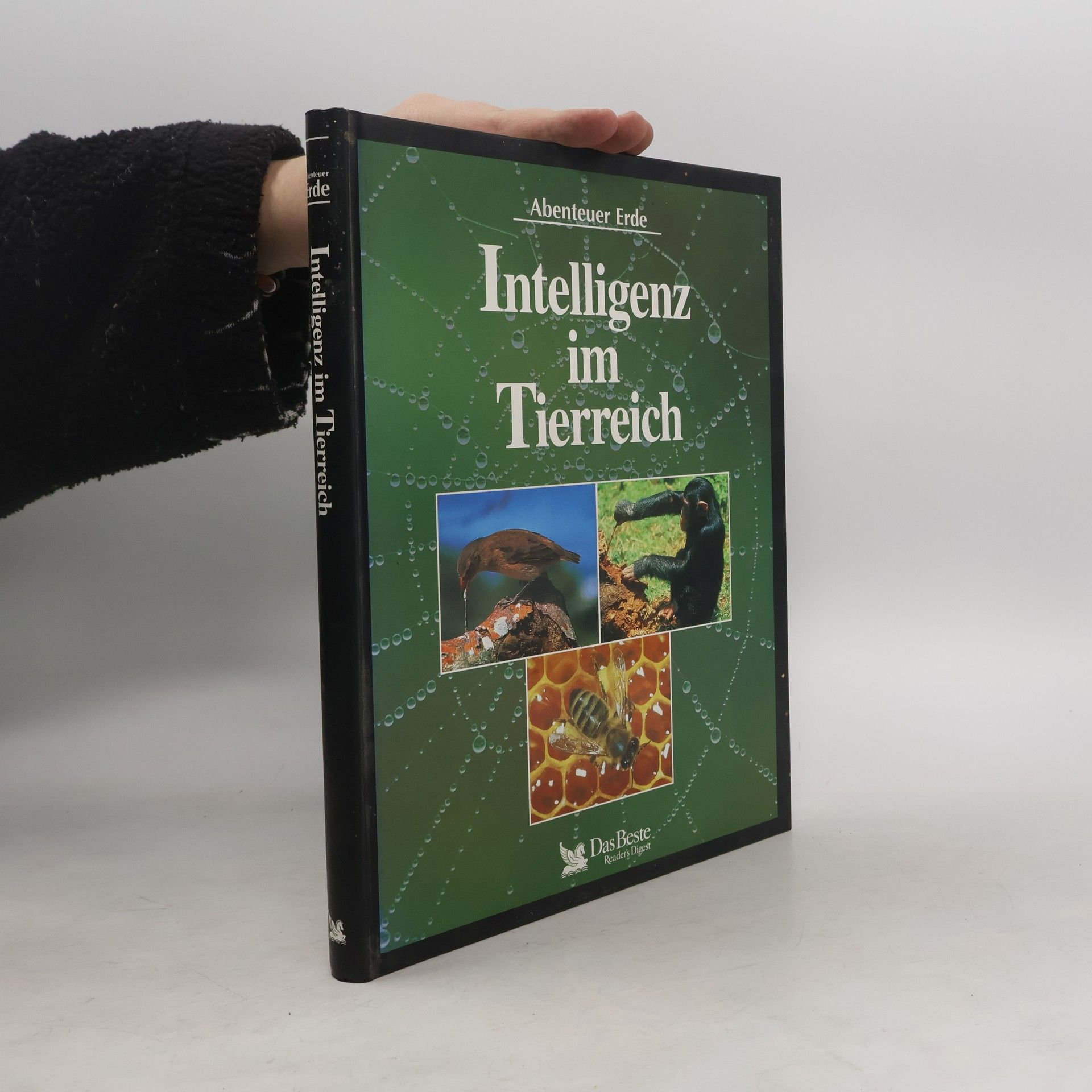 Autorenkollektiv Intelligenz im Tierreich