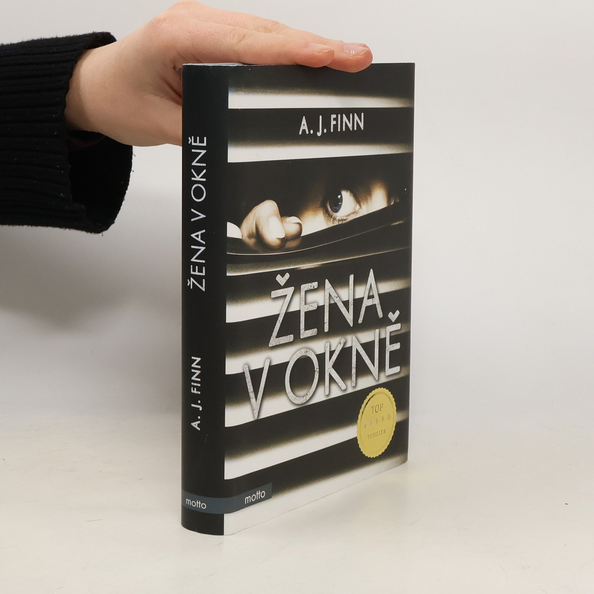 Daniel Mallory Žena v okně