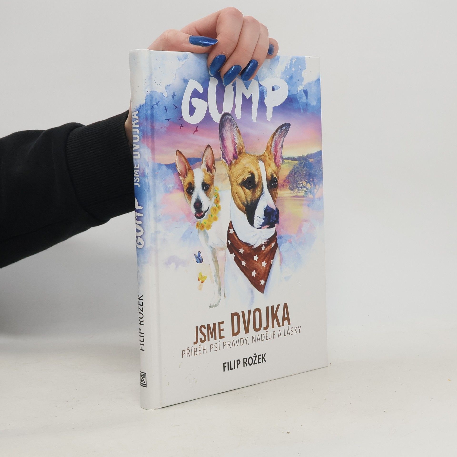 Filip Rožek Gump jsme dvojka: Příběh psí pravdy, naděje a lásky