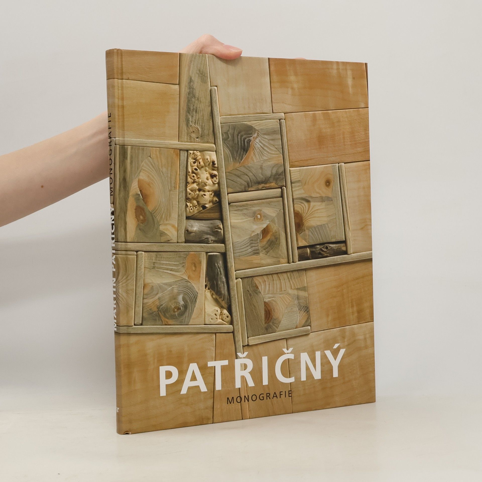 Amálie Maurer Patřičný. Monografie