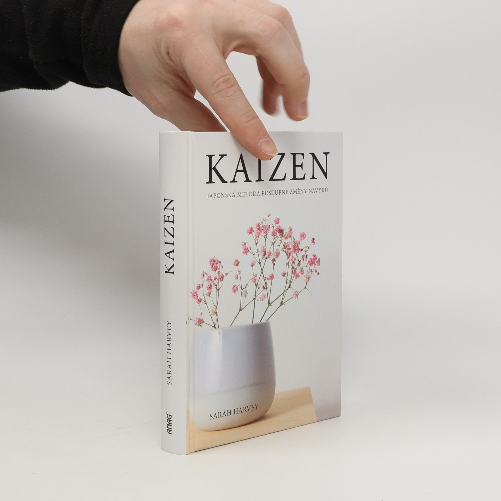 Sarah Harvey Kaizen: Japonská metoda postupné změny návyků