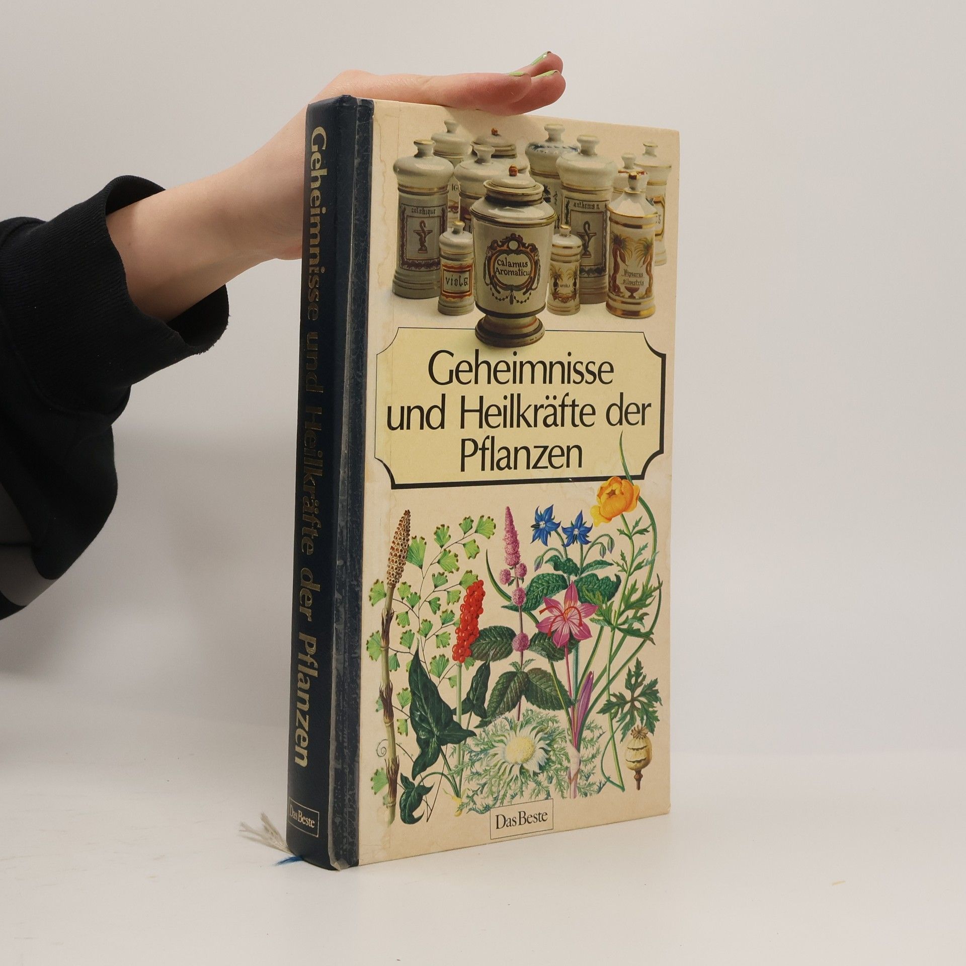 Collectif d'auteurs Geheimisse und Heilkräfte der Pflanzen