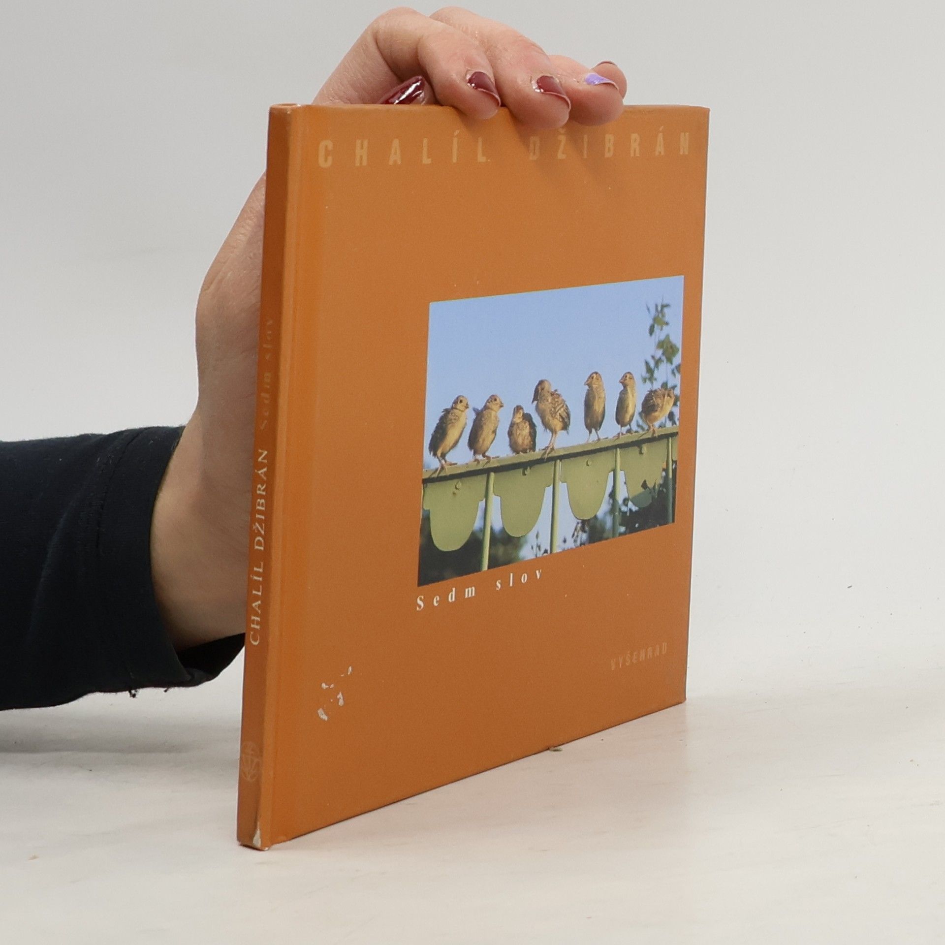 Kahlil Gibran Sedm slov