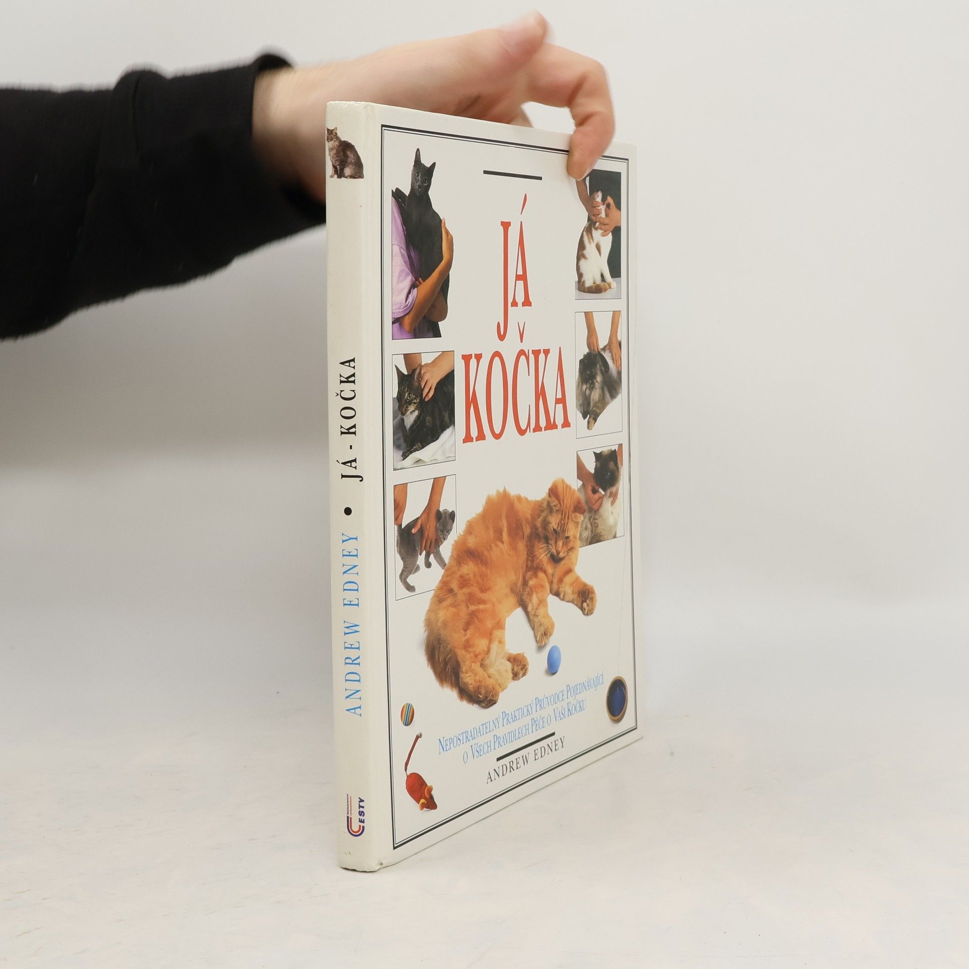 Já, kočka