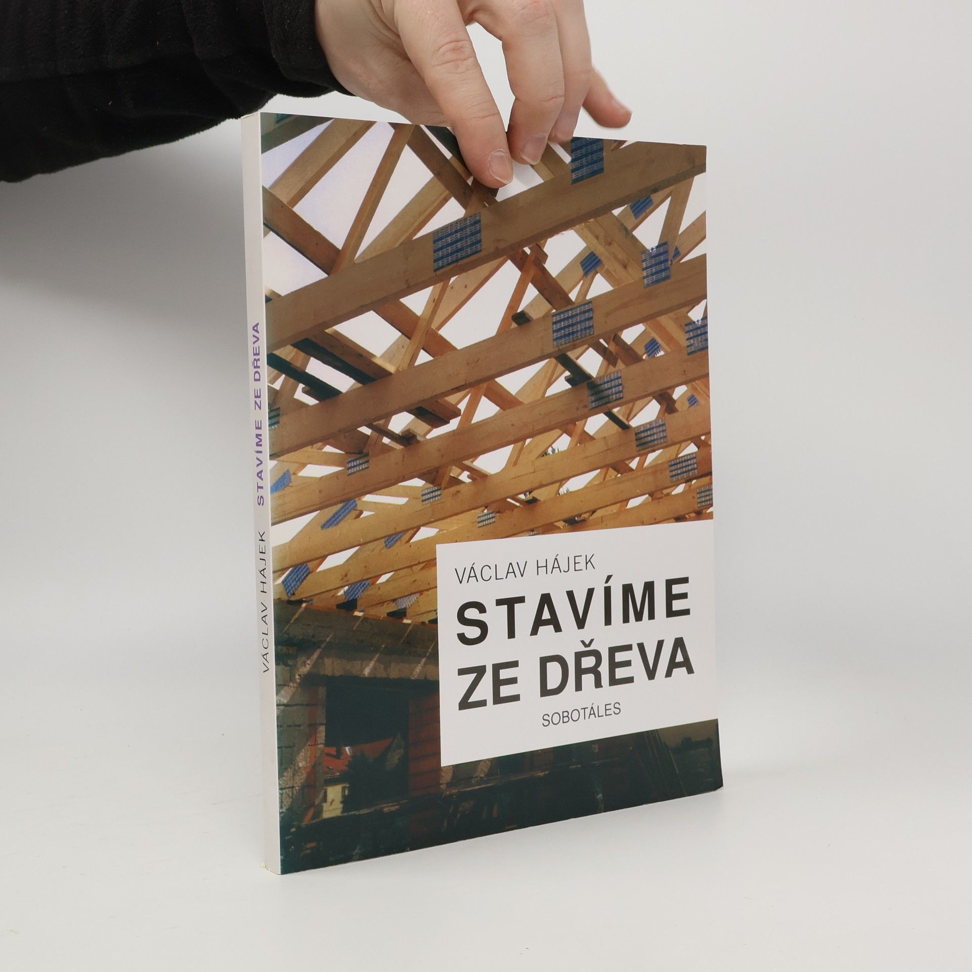 Václav Hájek Stavíme ze dřeva