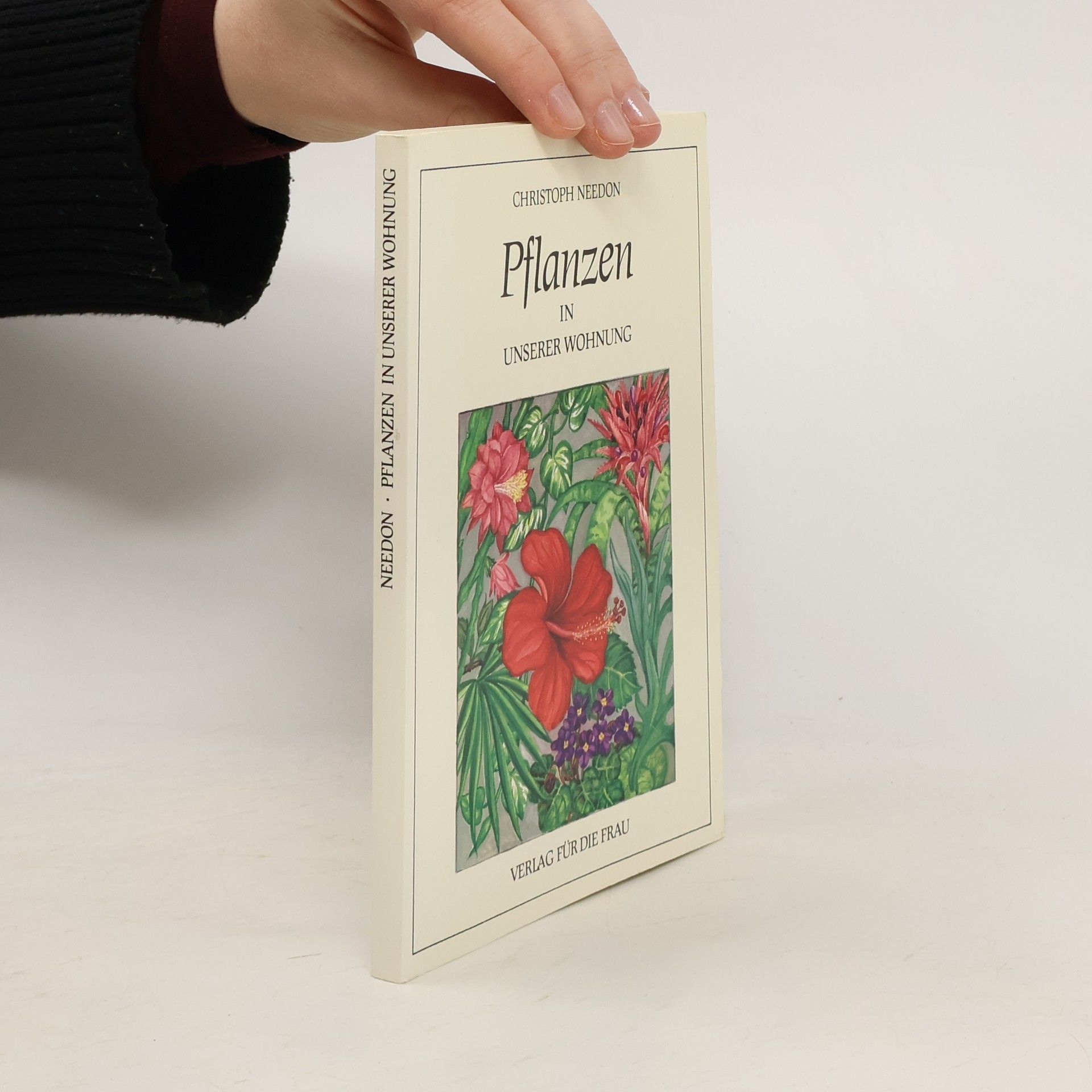 Pflanzen in unserer Wohnung