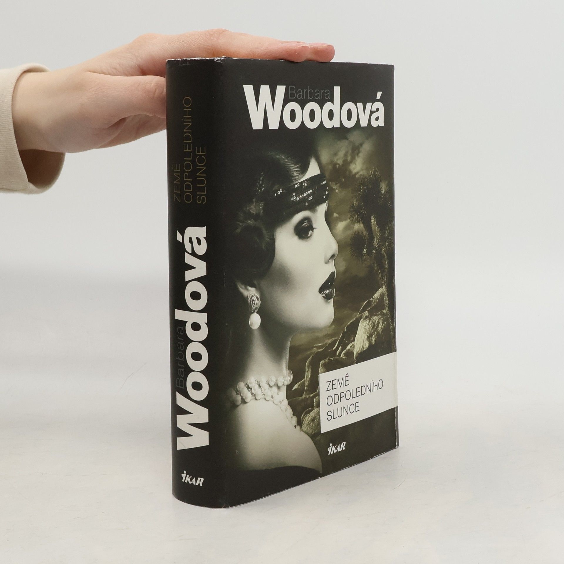 Barbara Wood Země odpoledního slunce