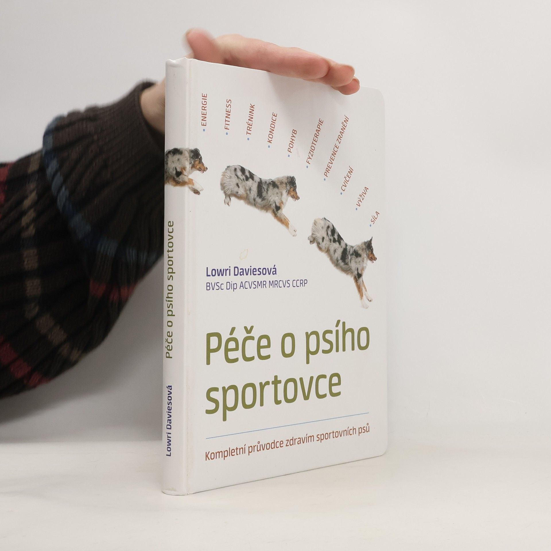 Lowri Davies Péče o psího sportovce