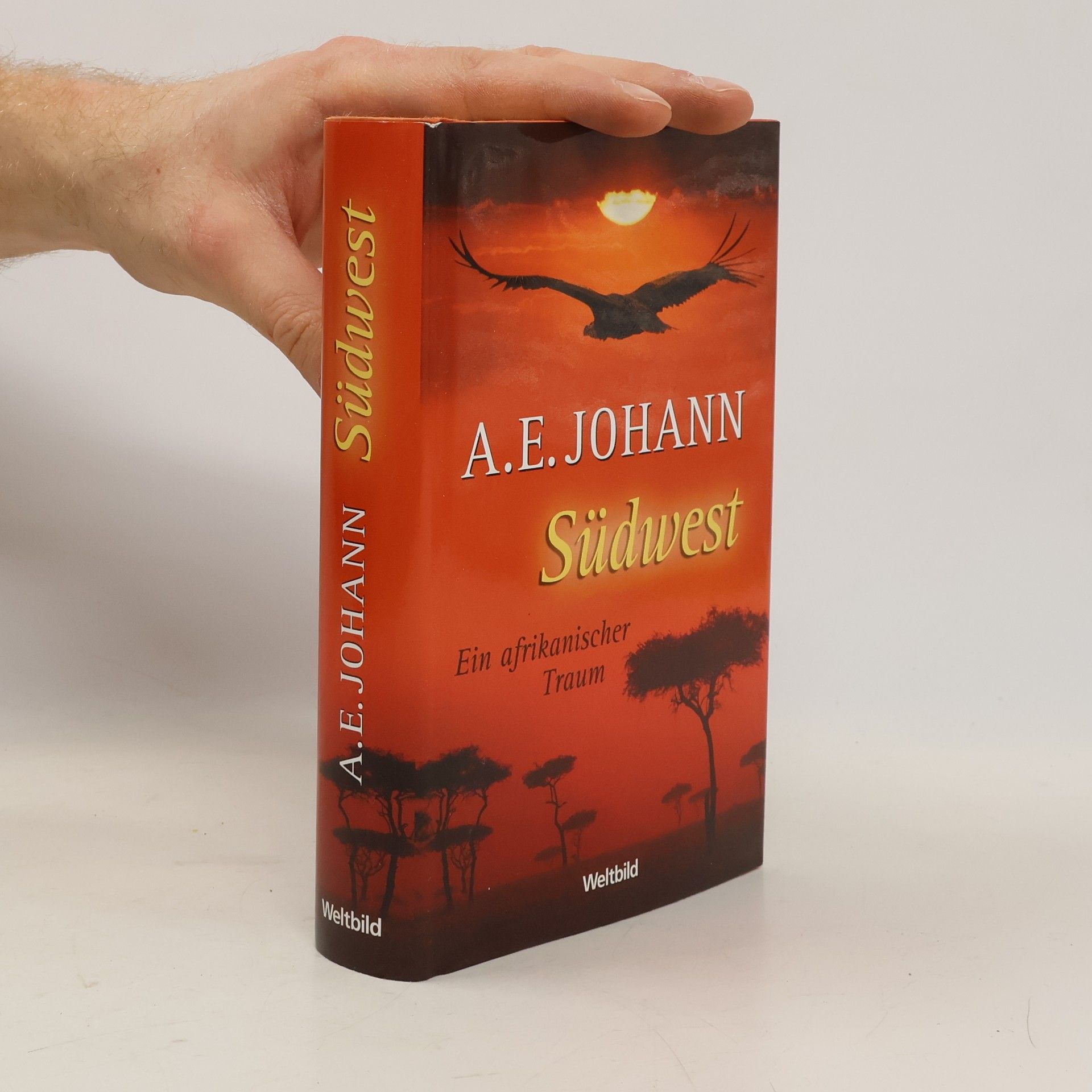 Alfred E. Johann Südwest