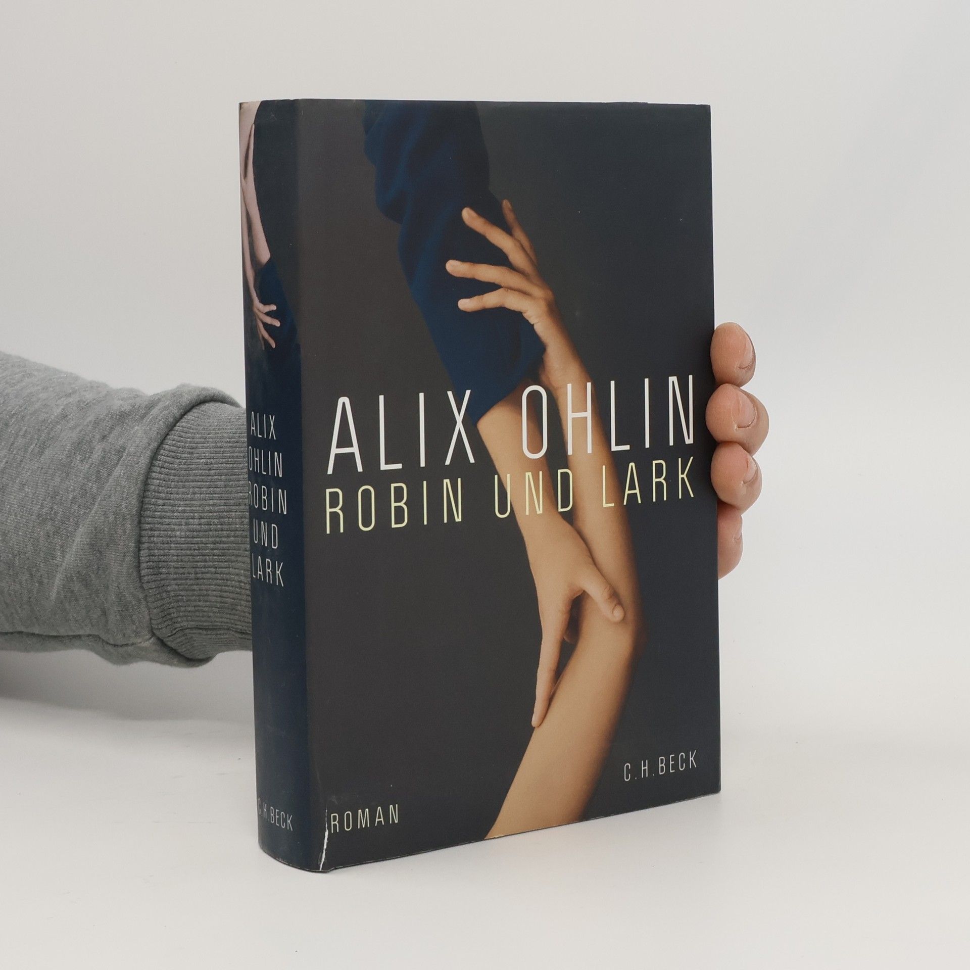 Alix Ohlin Robin und Lark