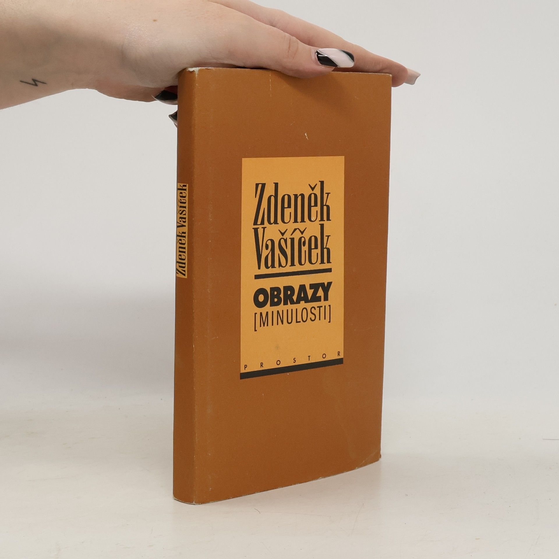 Obrazy (minulosti) : o bytí, poznání a podání minulého času