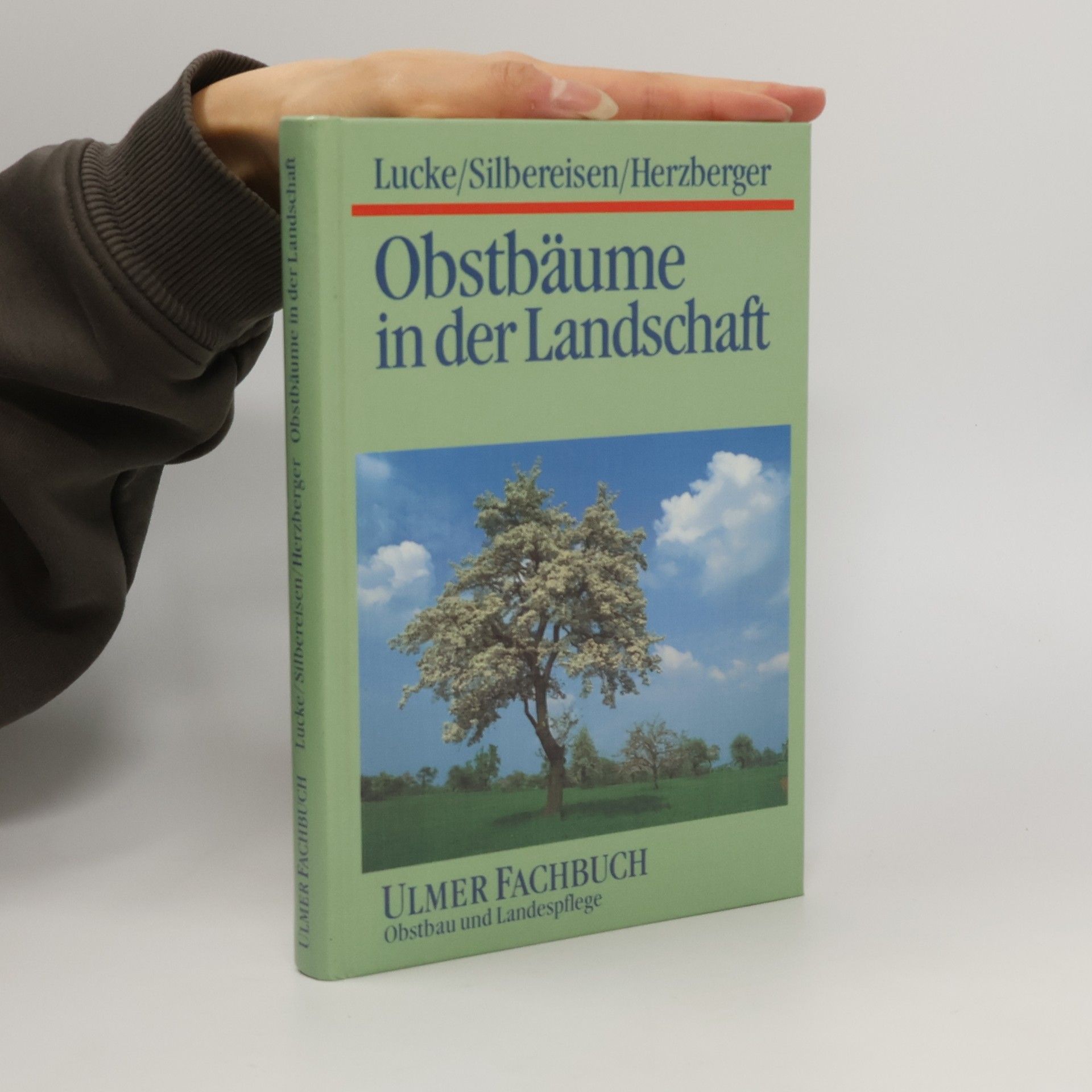 Obstbäume in der Landschaft