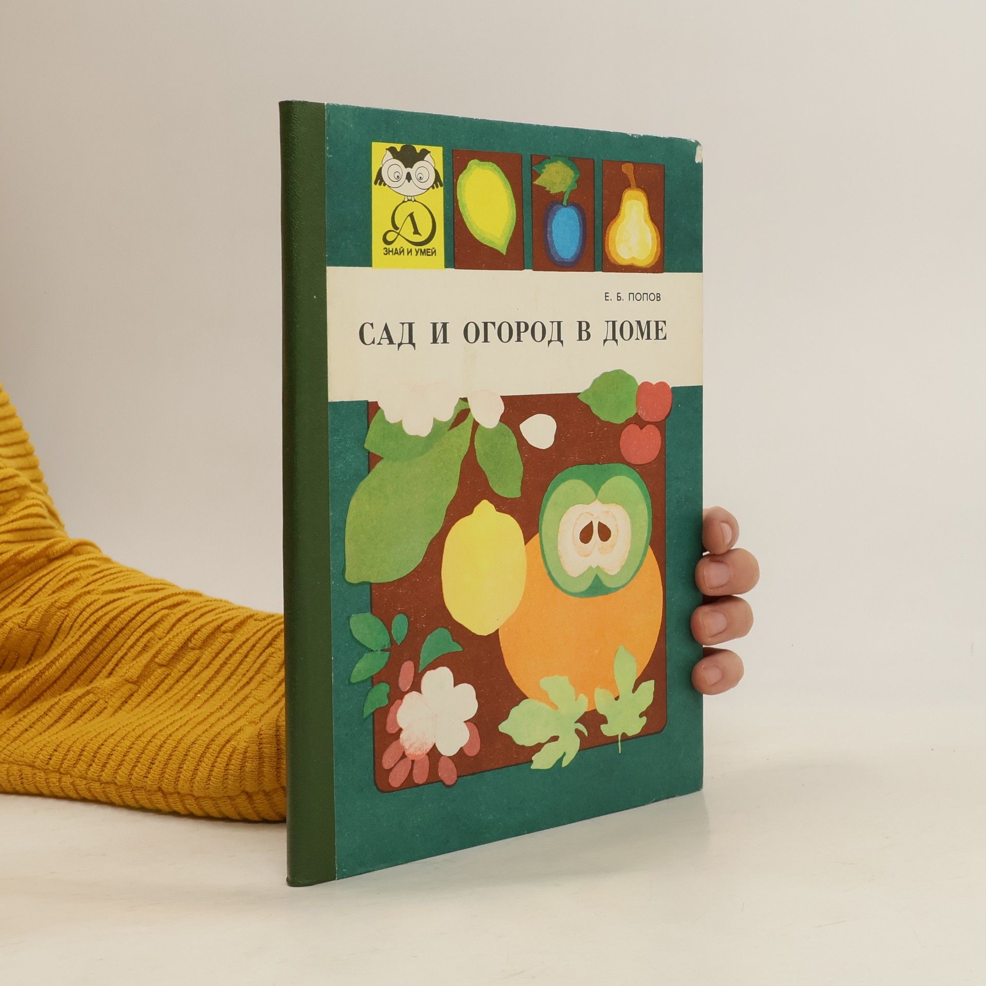 Evgenij Borisovič Popov Сад и огород в доме