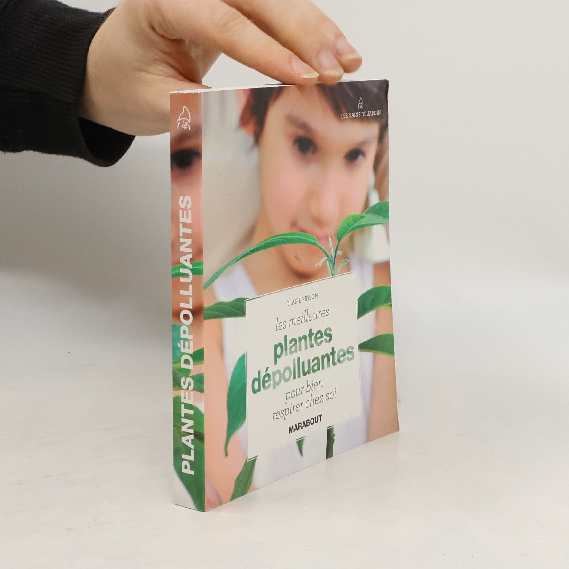 Les meilleures plantes dépolluantes pour bien respirer chez soi