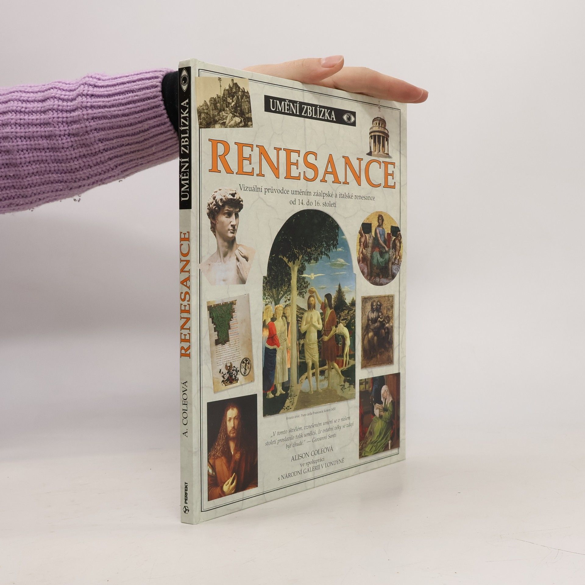 Alison Cole Renesance