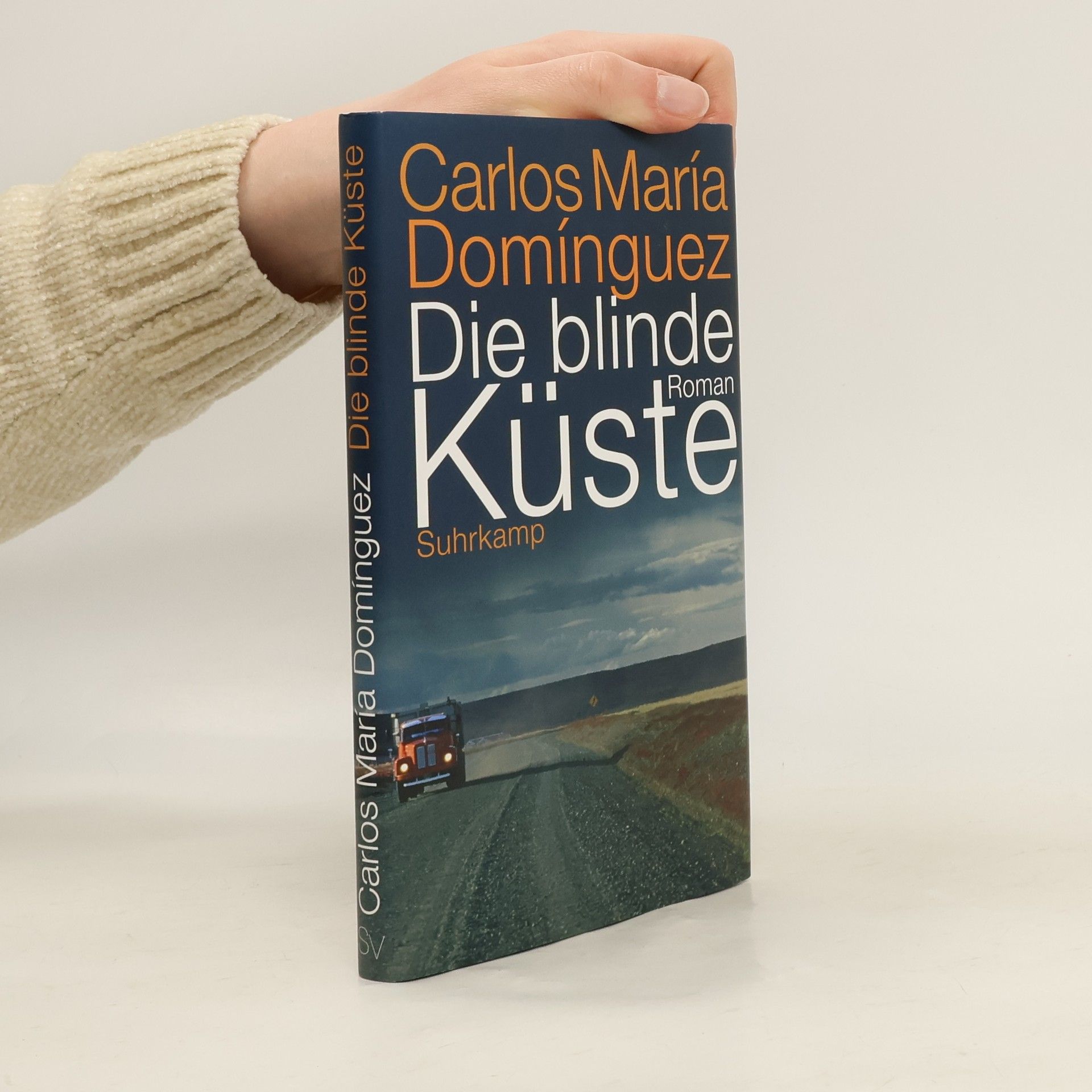 Carlos María Domínguez Die blinde Küste