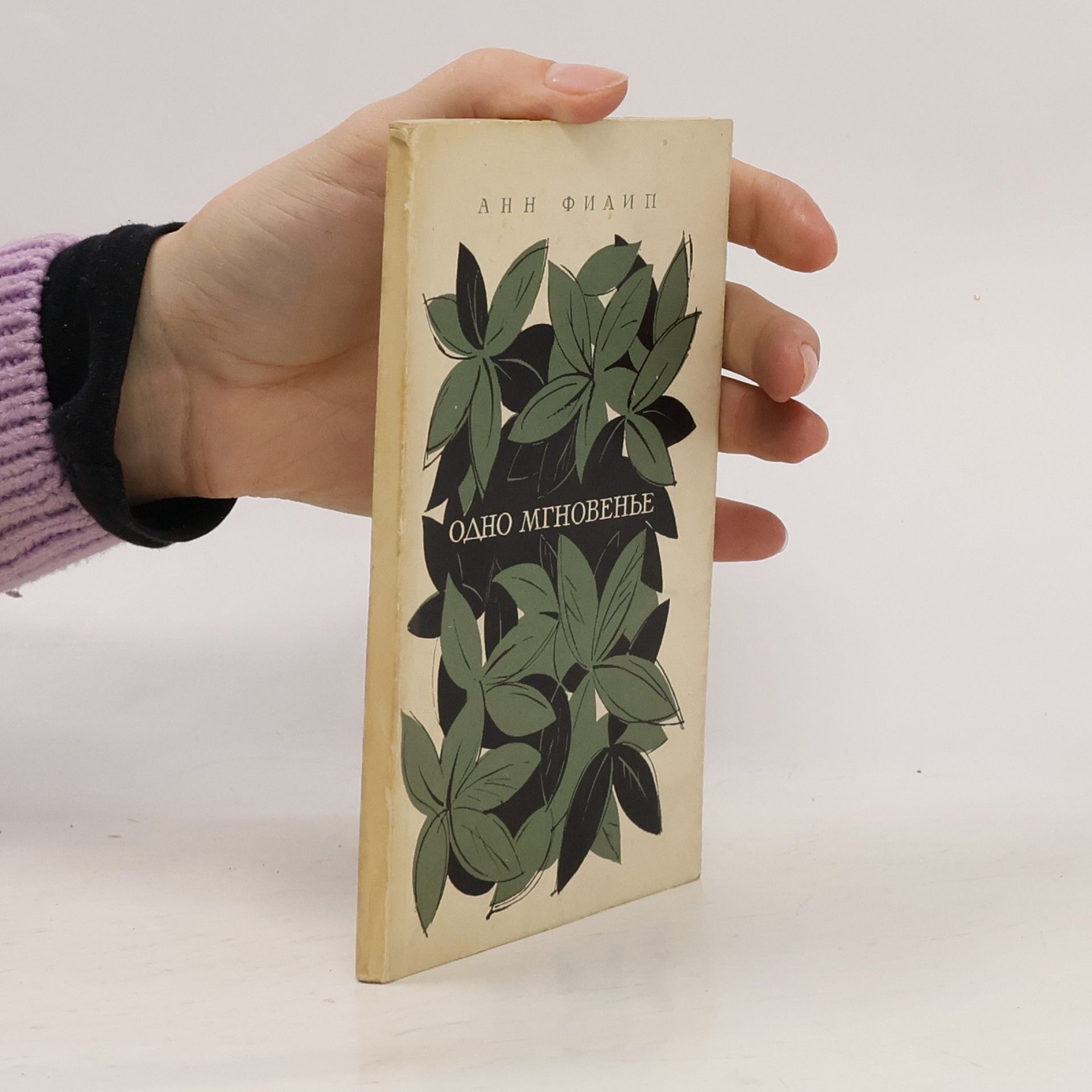 Nicole Philipe Одно мгновенье. Odno mgnovene