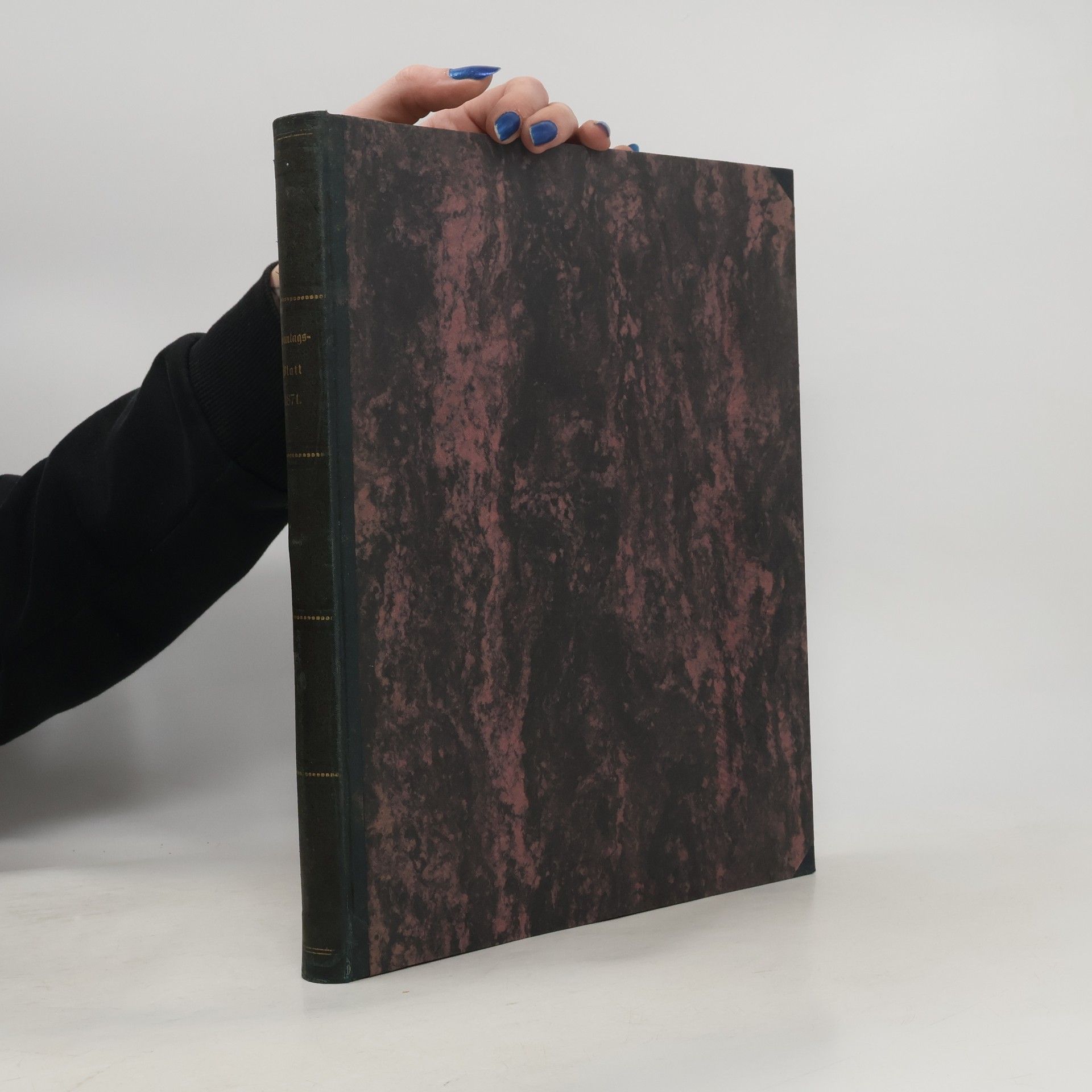 Otto Ruppins Sonntags Blatt füJedermann aus dem Volke