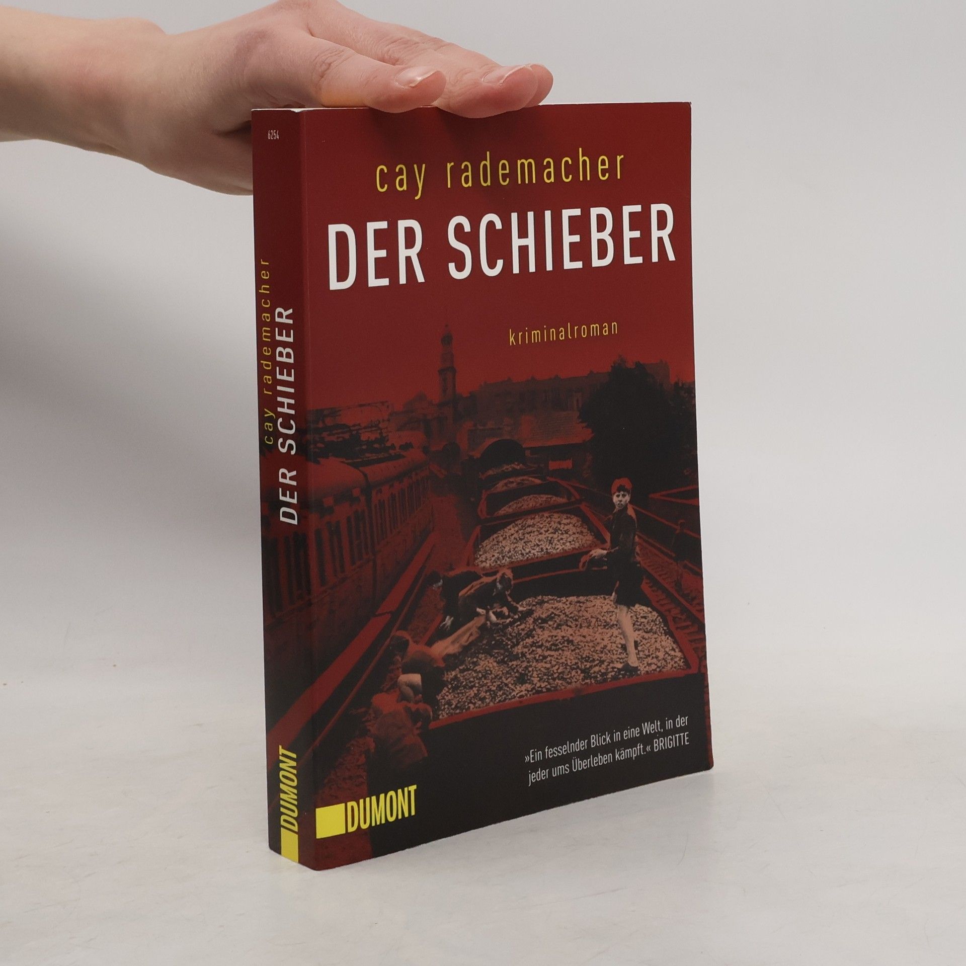 Cay Rademacher Der Schieber