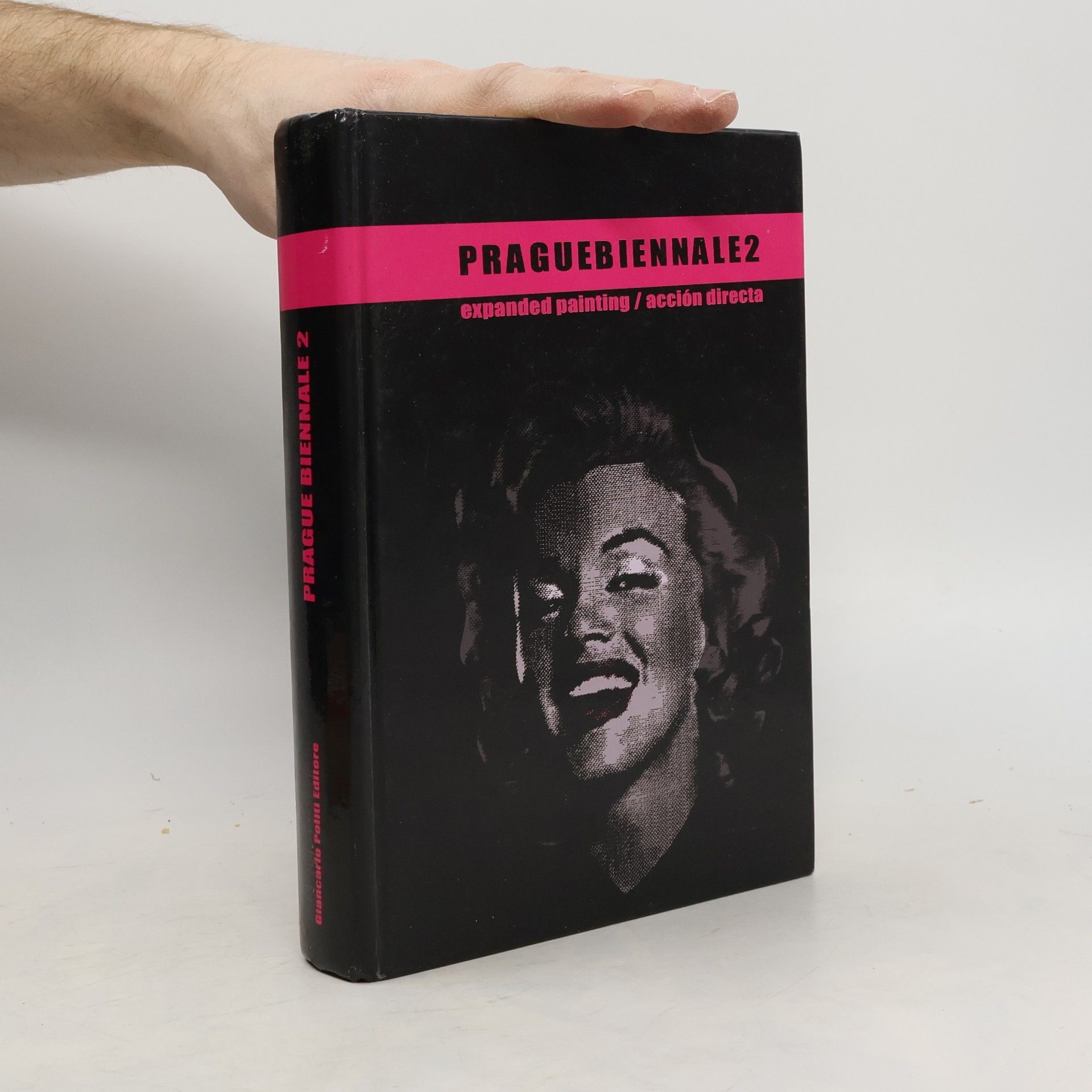 Valentina Sansone PragueBiennale 2: expanded painting