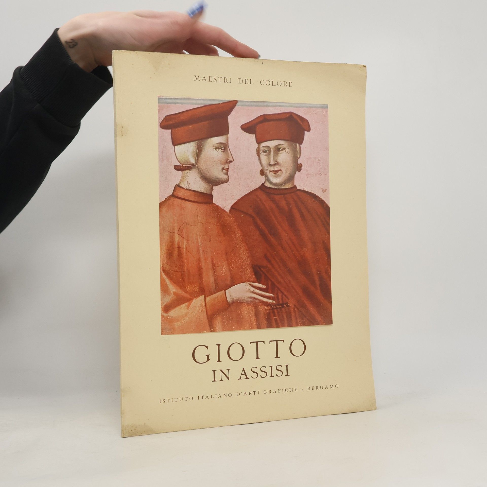 Autorenkollektiv Giotto in Assisi