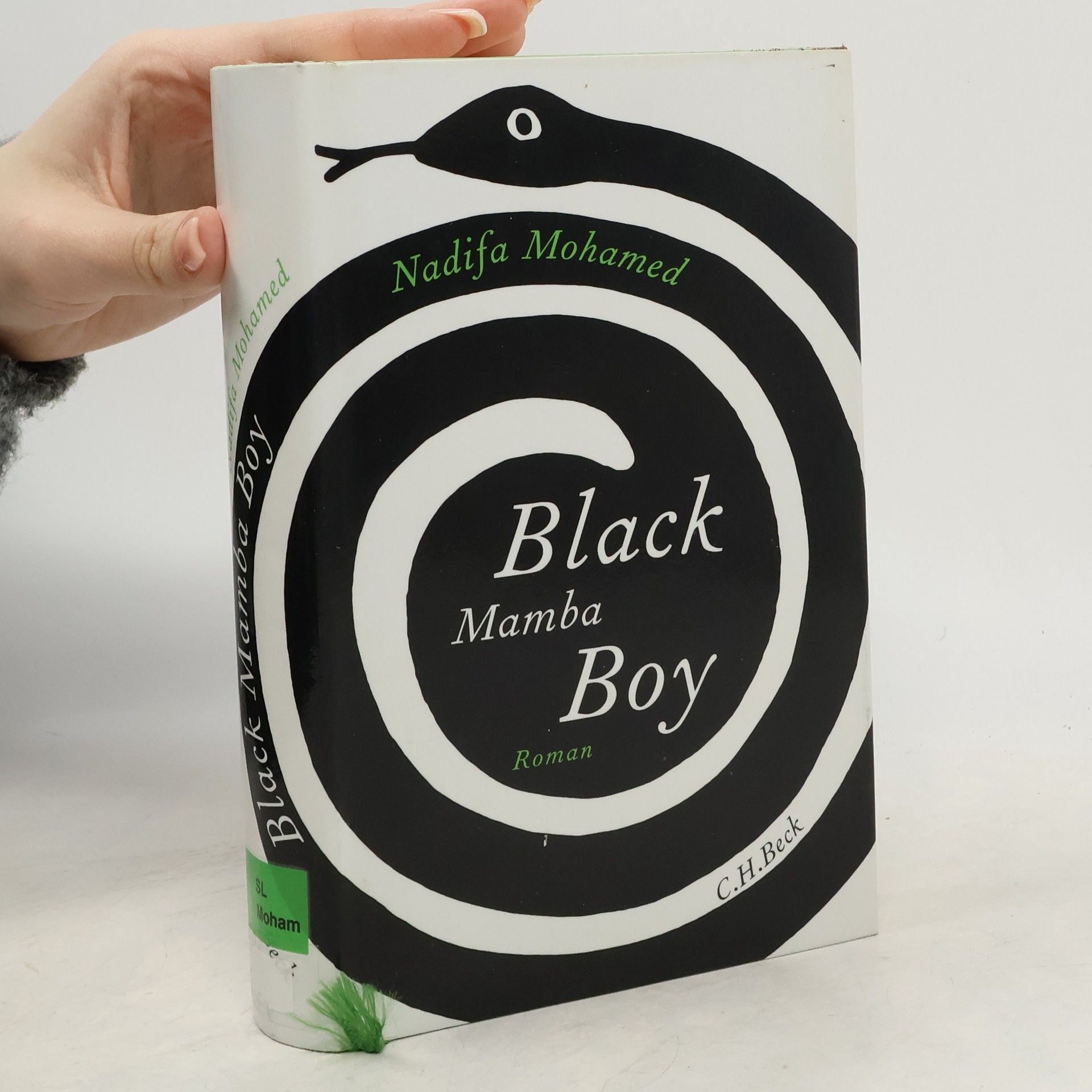 Nadifa Mohamed Black mamba boy