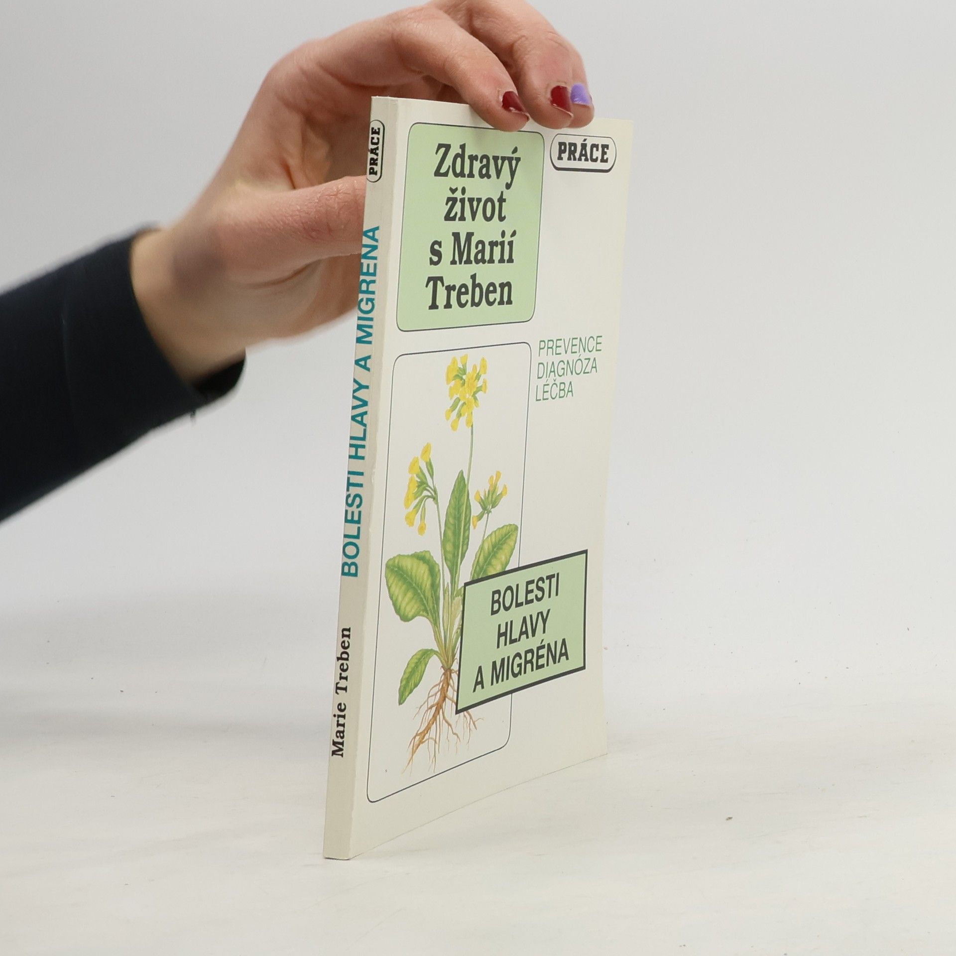 Maria Treben Bolesti hlavy a migréna