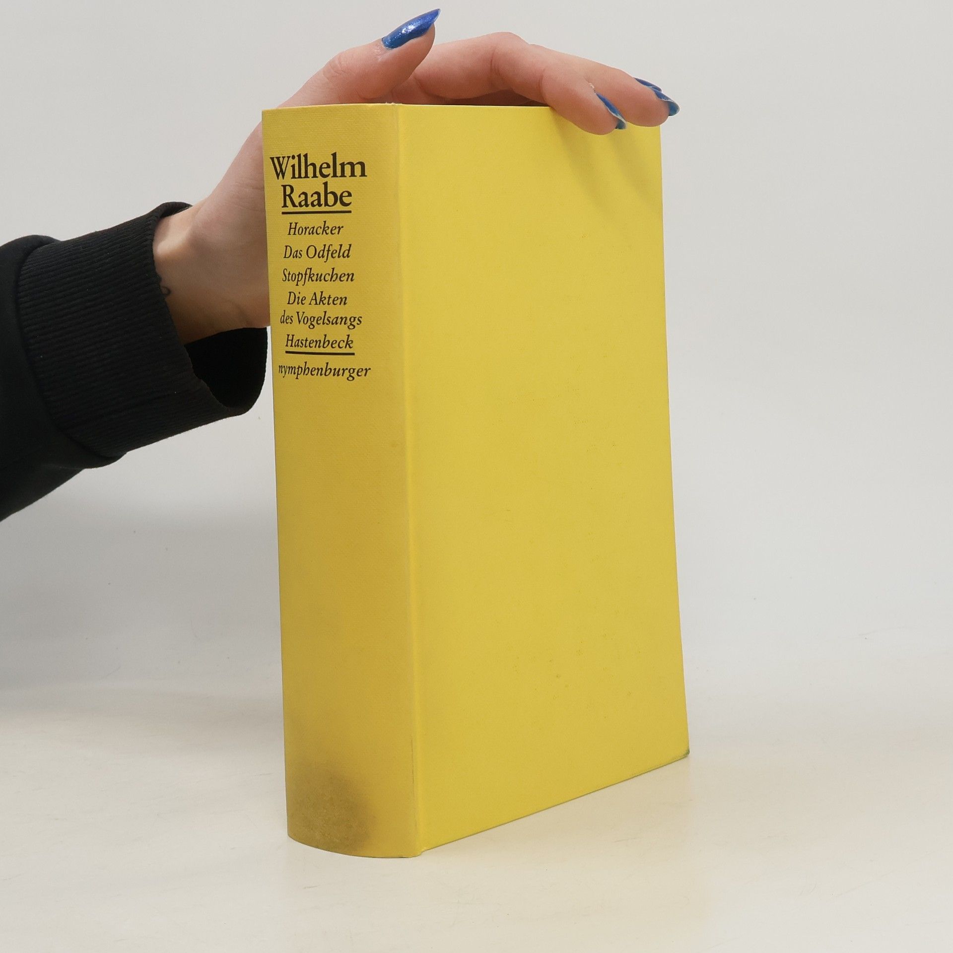 Wilhelm Raabe Horacker. Das Odfeld. Stopfkuchen. Die Akten des Vogelsangs. Hastenbeck