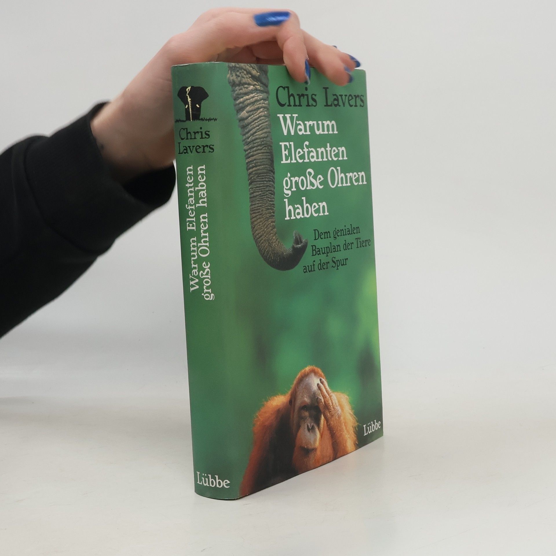 Warum Elefanten große Ohren haben