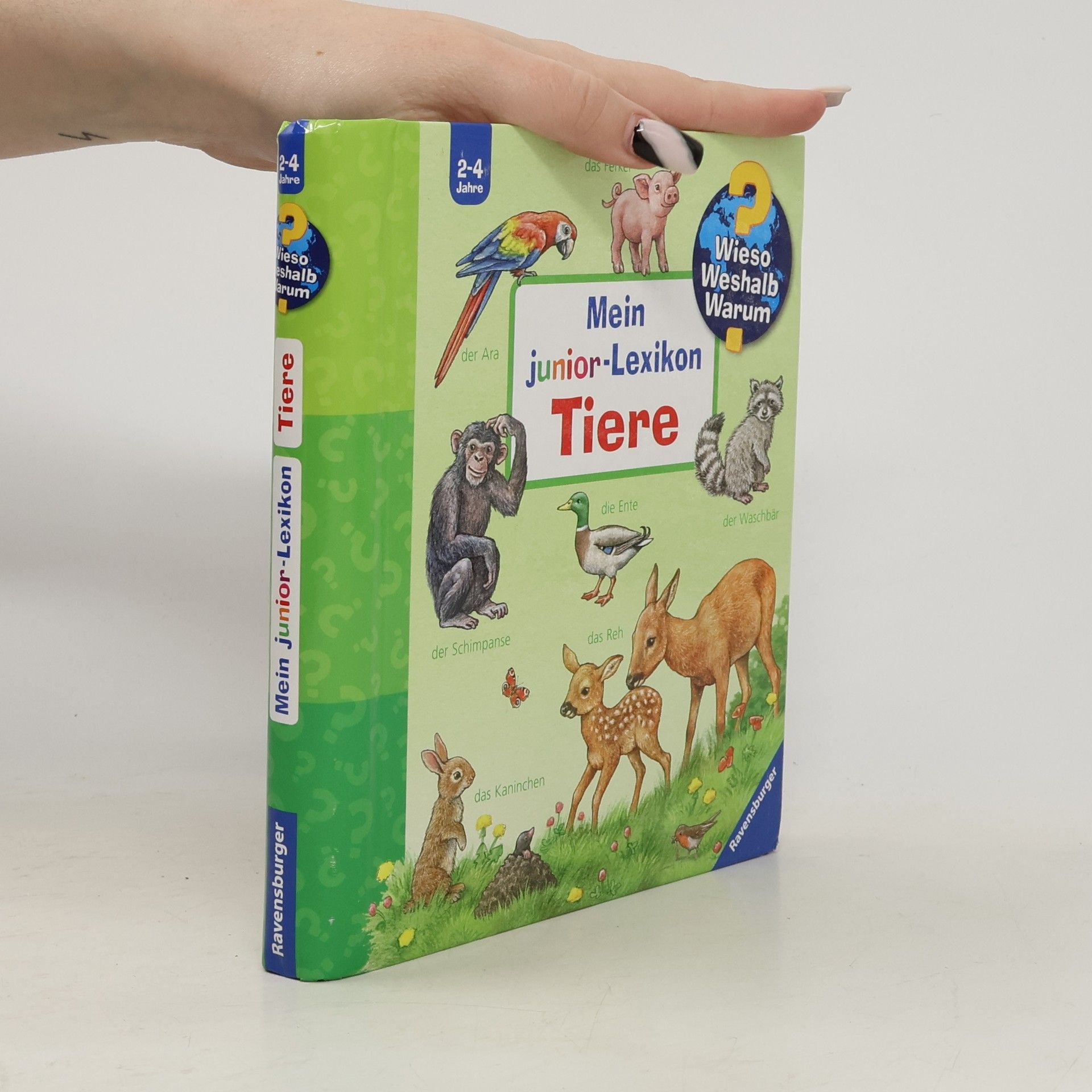 Anne Möller Mein Junior-Lexikon - Tiere