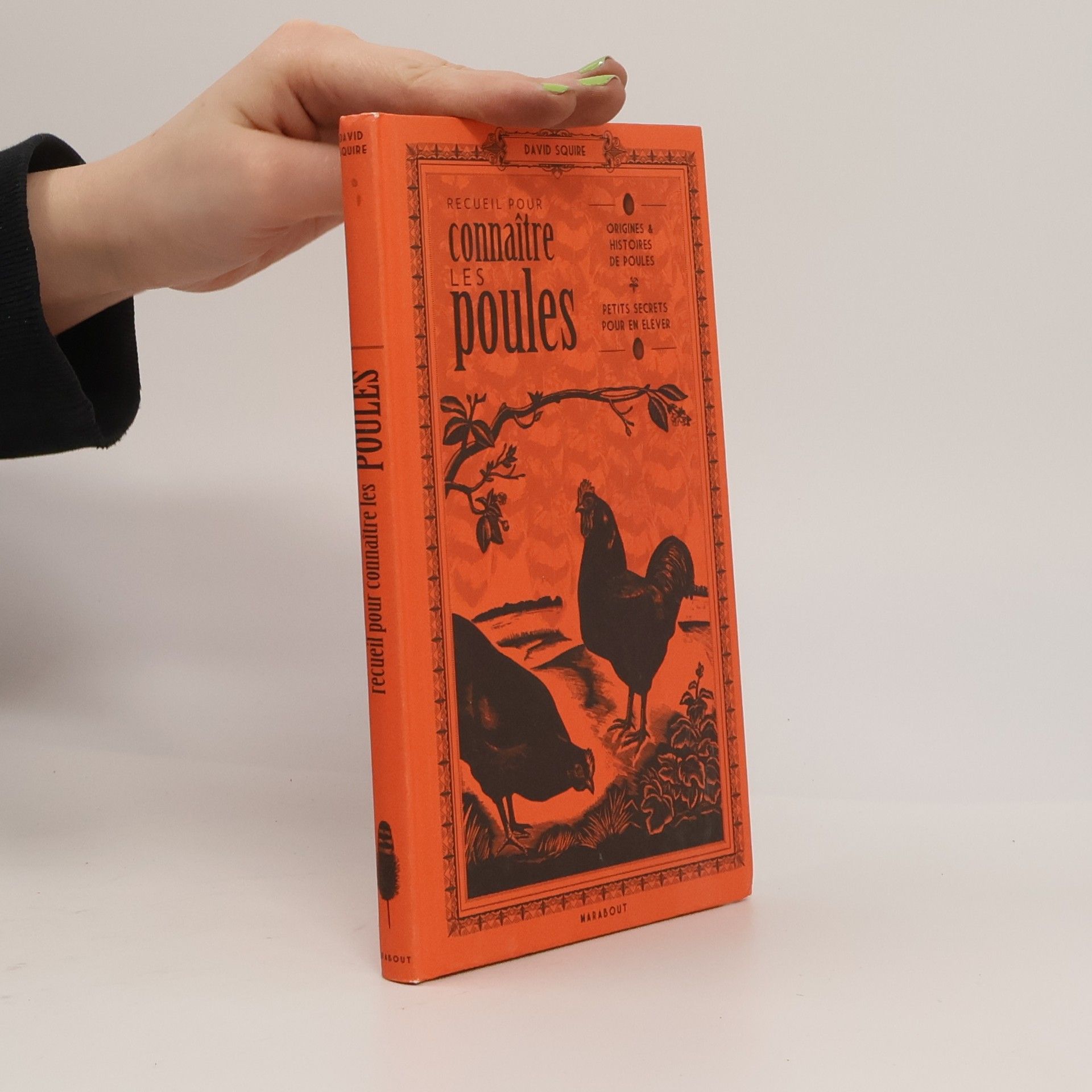 David Squire Les poules