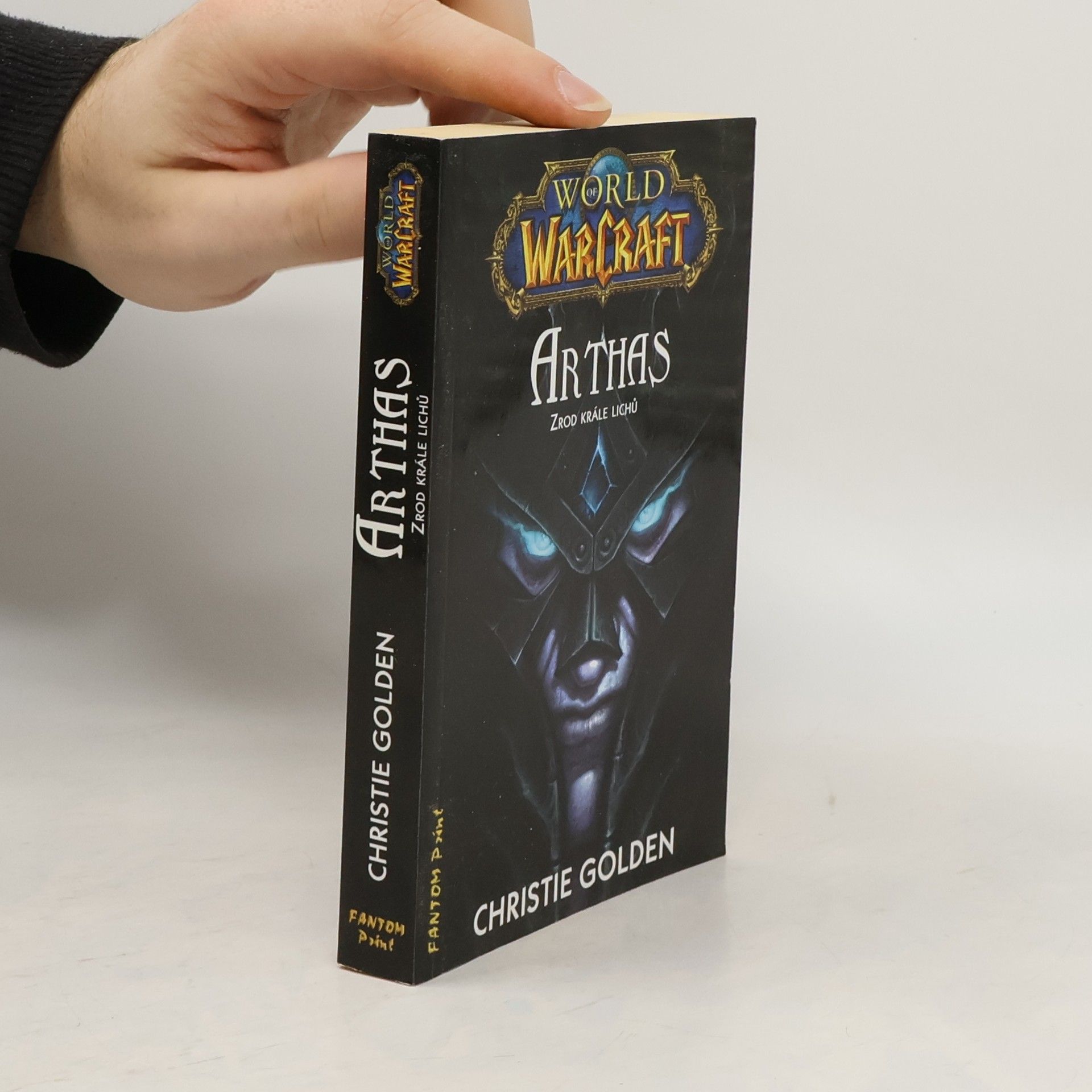 Arthas - zrod krále lichů. World of WarCraft