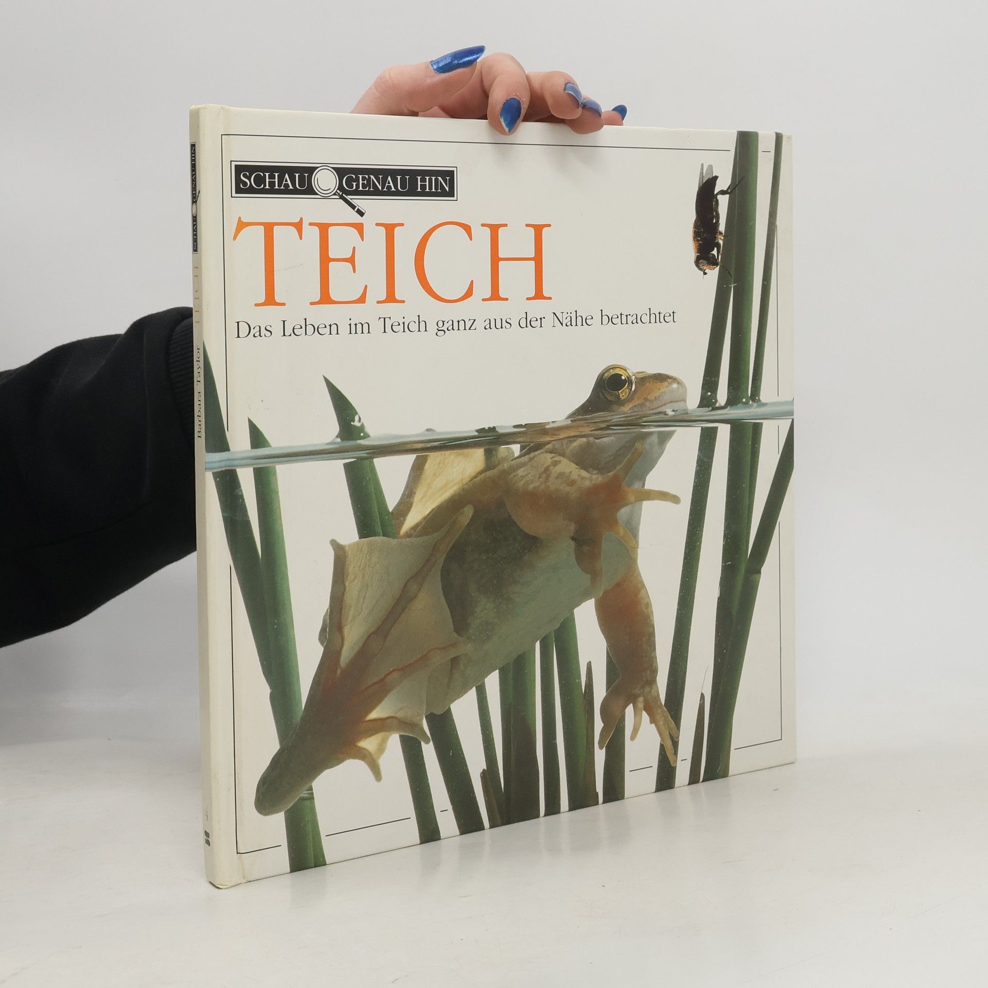 Frank Greenaway Teich. Das Leben im Teich ganz aus der Nähe betrachtet