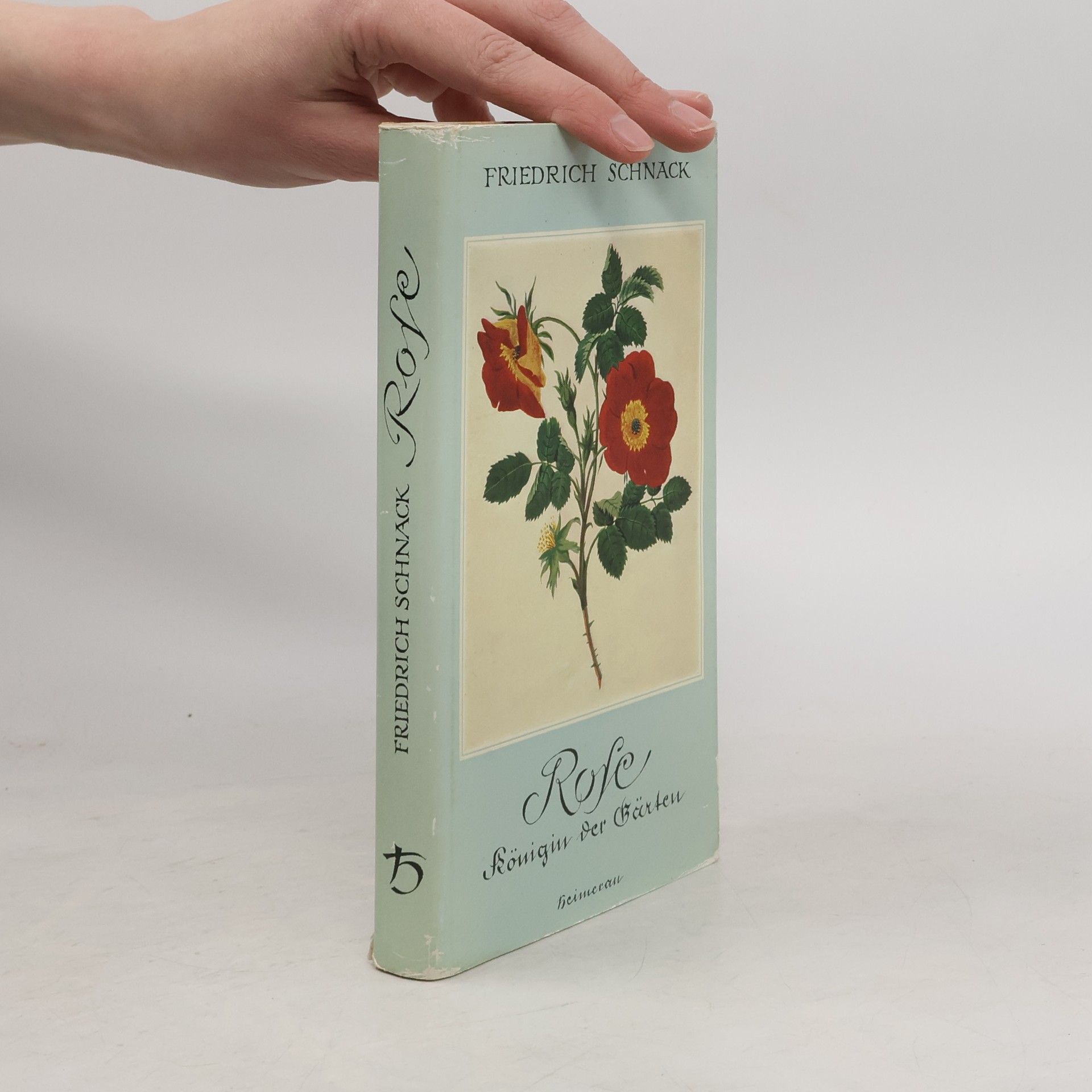 Friedrich Schnack Rose