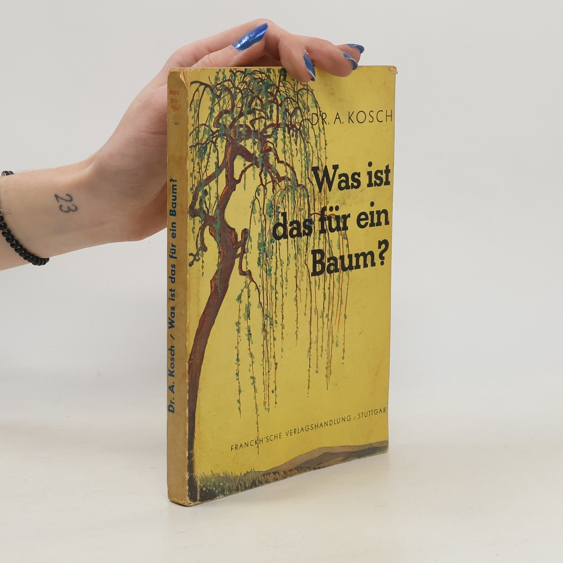 Alois Kosch Was ist das für ein Baum?