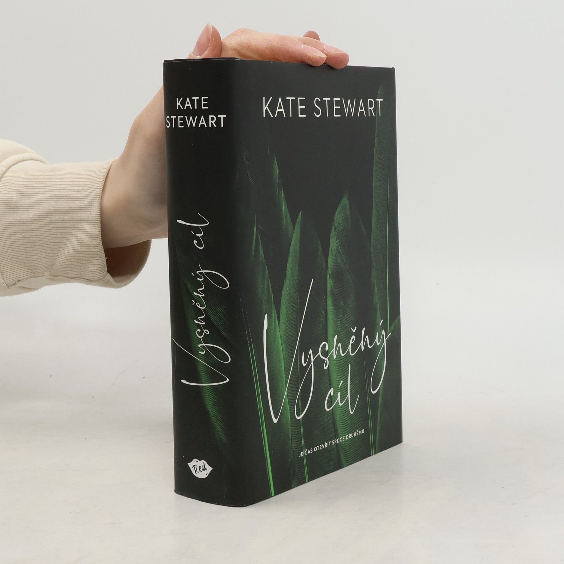 Kate Stewart Vysněný cíl. Kniha třetí