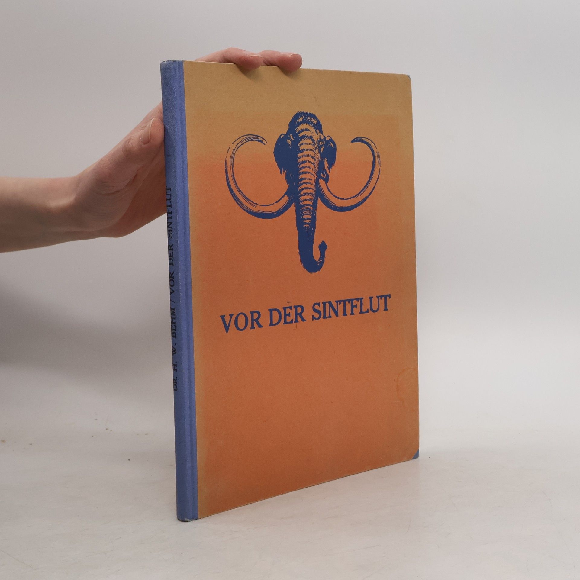 Hans Wolfgang Behm  Vor der Sintflut