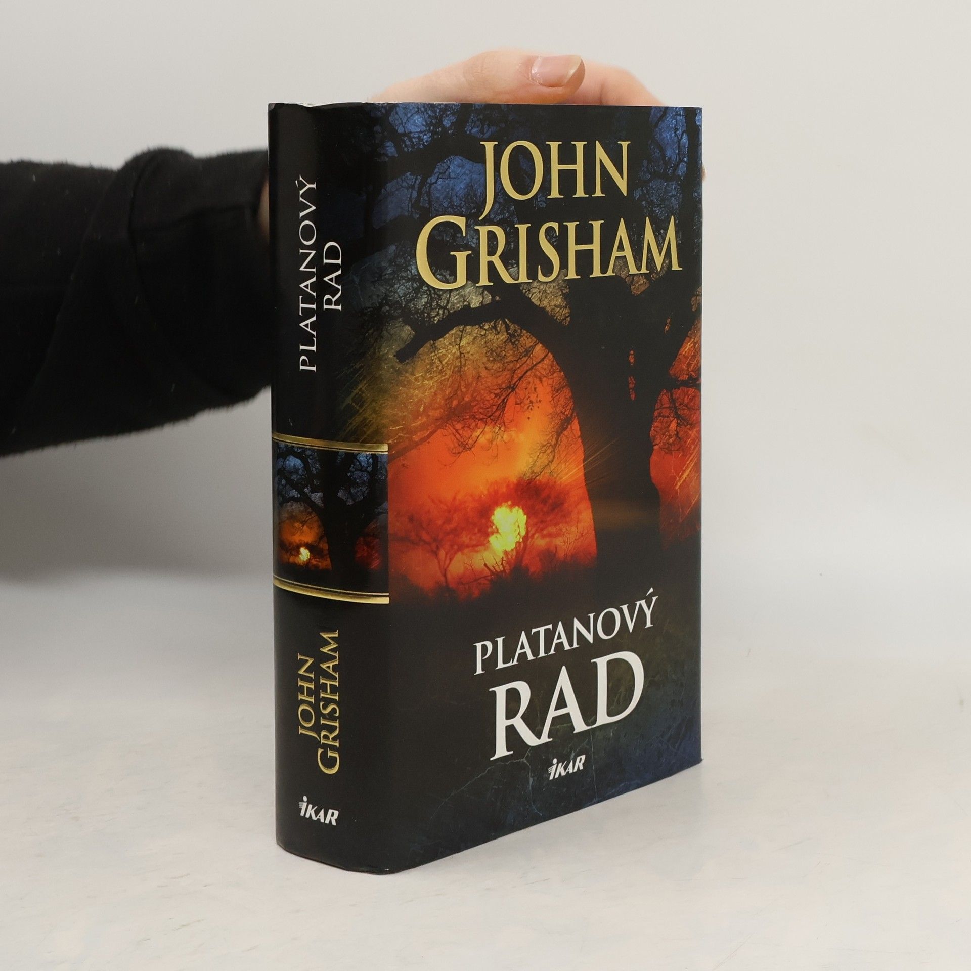 John Grisham Platanový rad