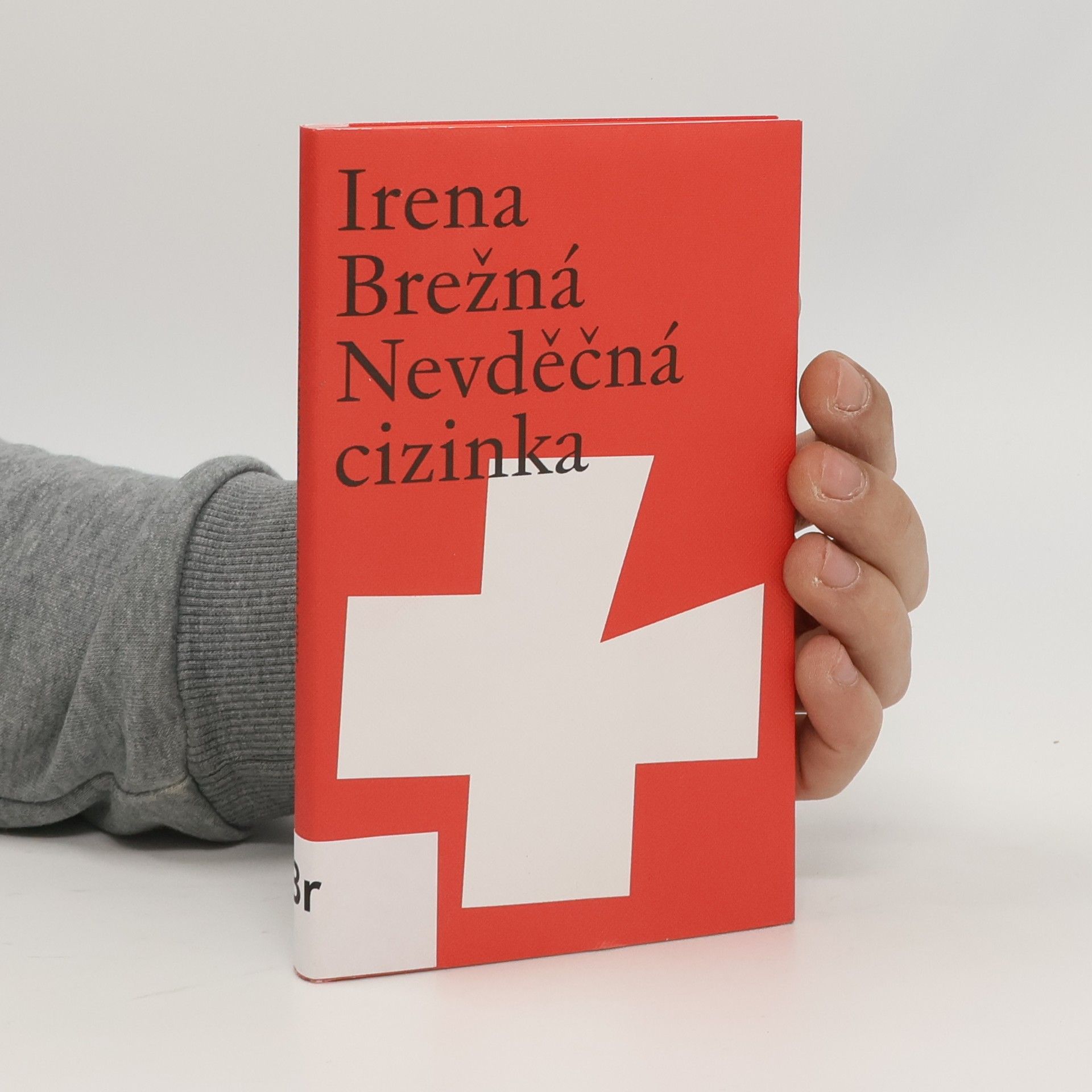 Irena Brežná Nevděčná cizinka