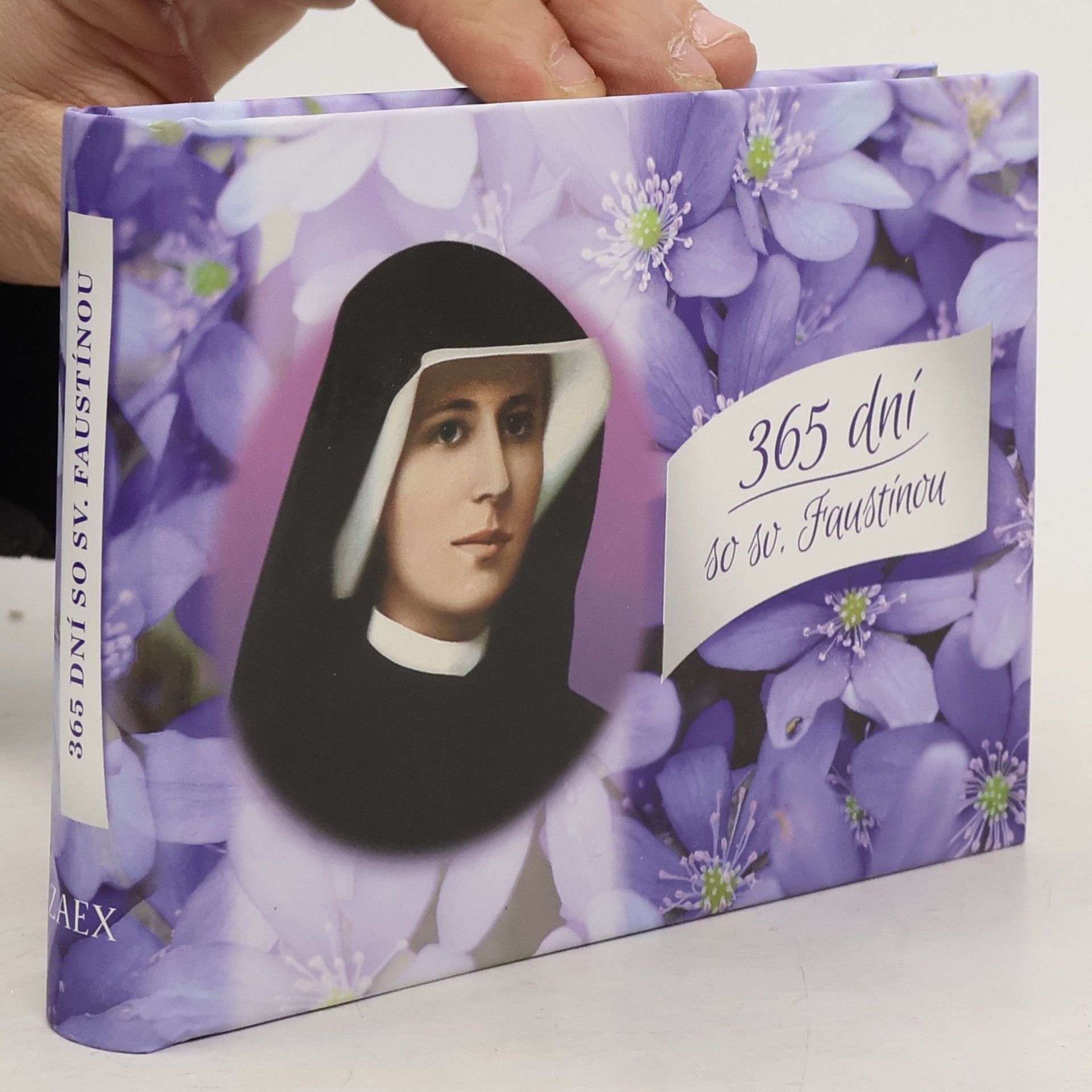 Autorenkollektiv 365 dní so sv. Faustinou