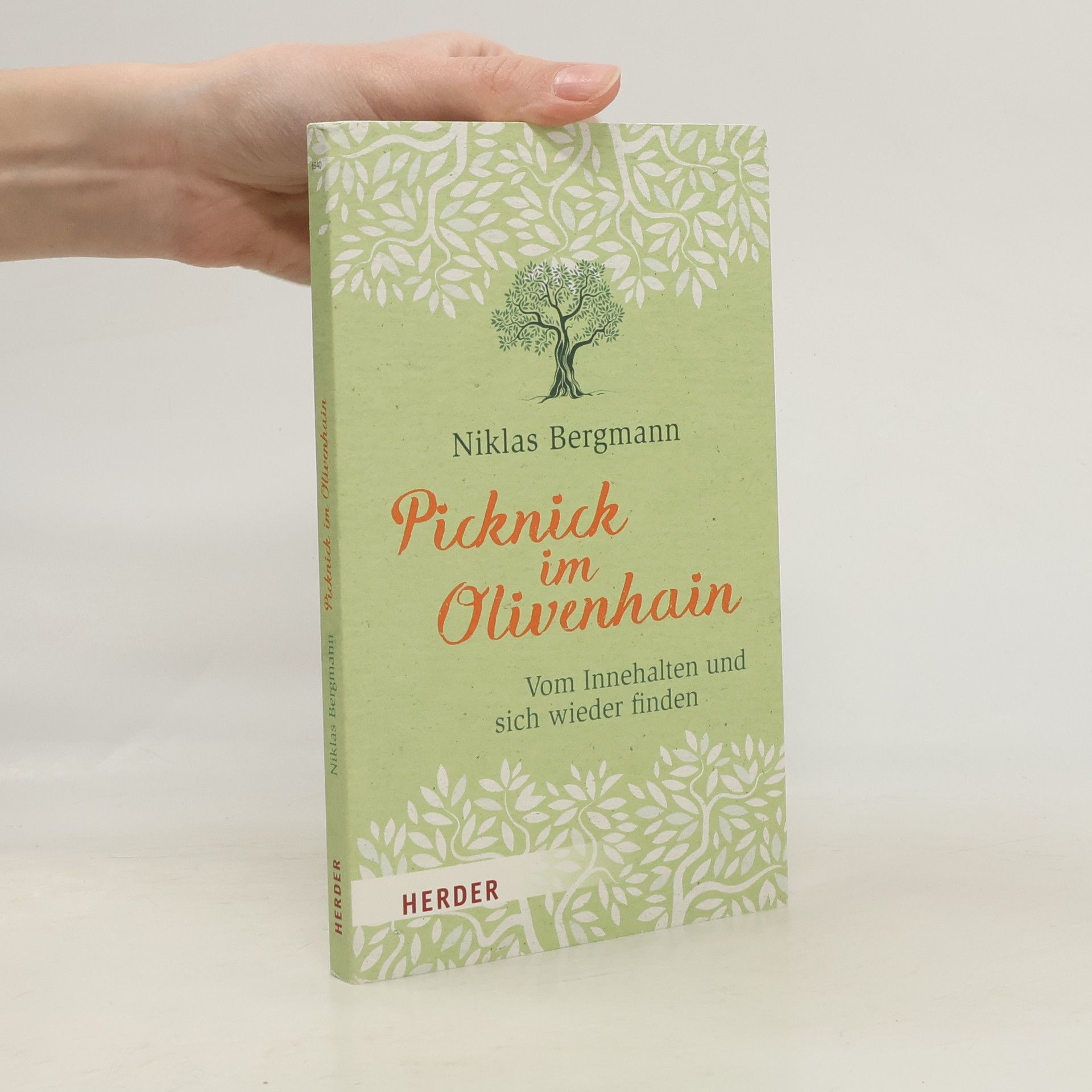 Niklas Bergmann Picknick im Olivenhain