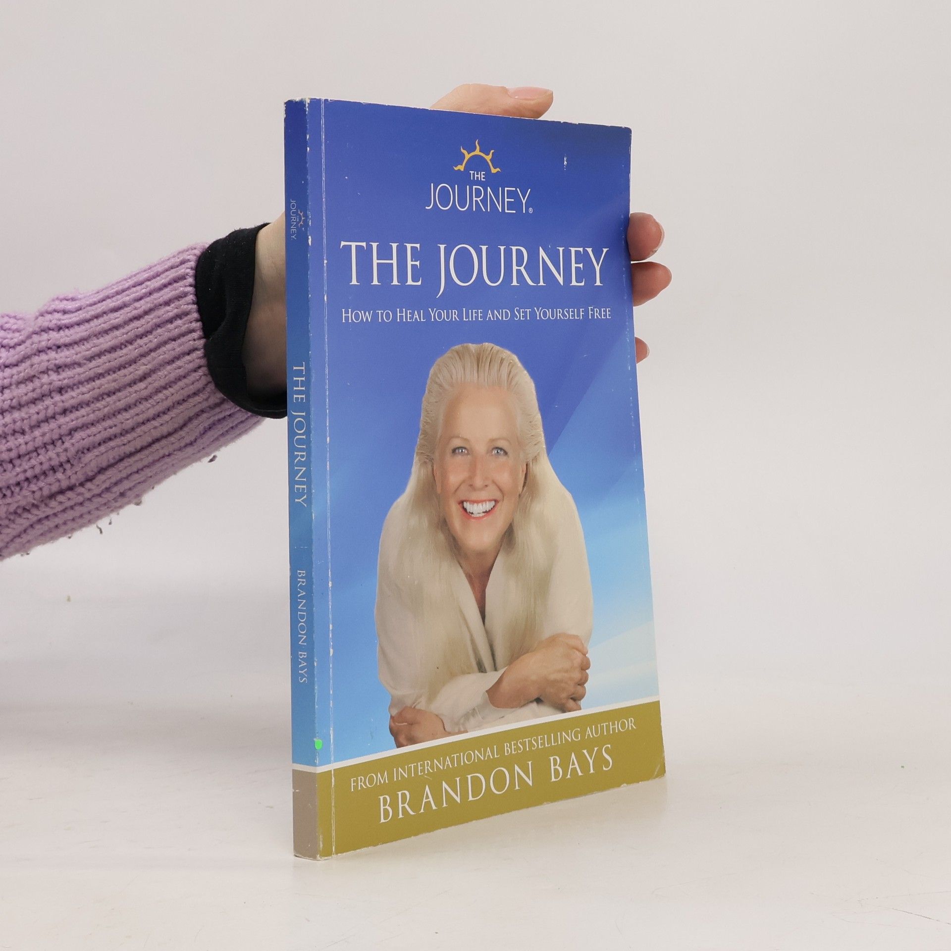 Brandon Bays The Journey